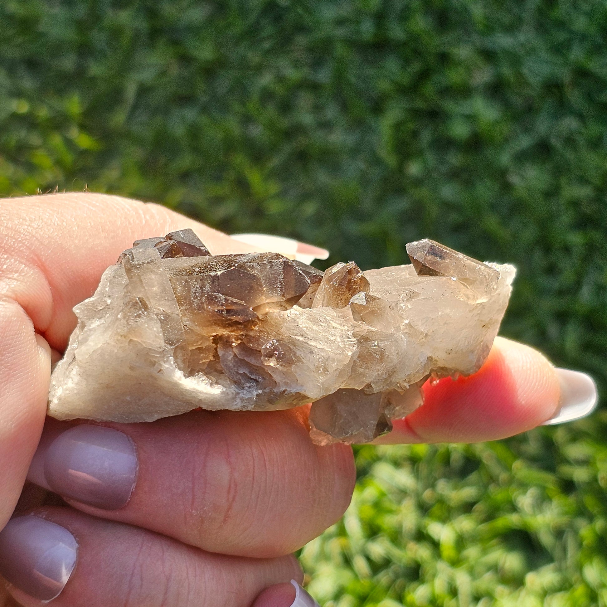 Smoky Quartz/Morion Quartz Cluster (B)