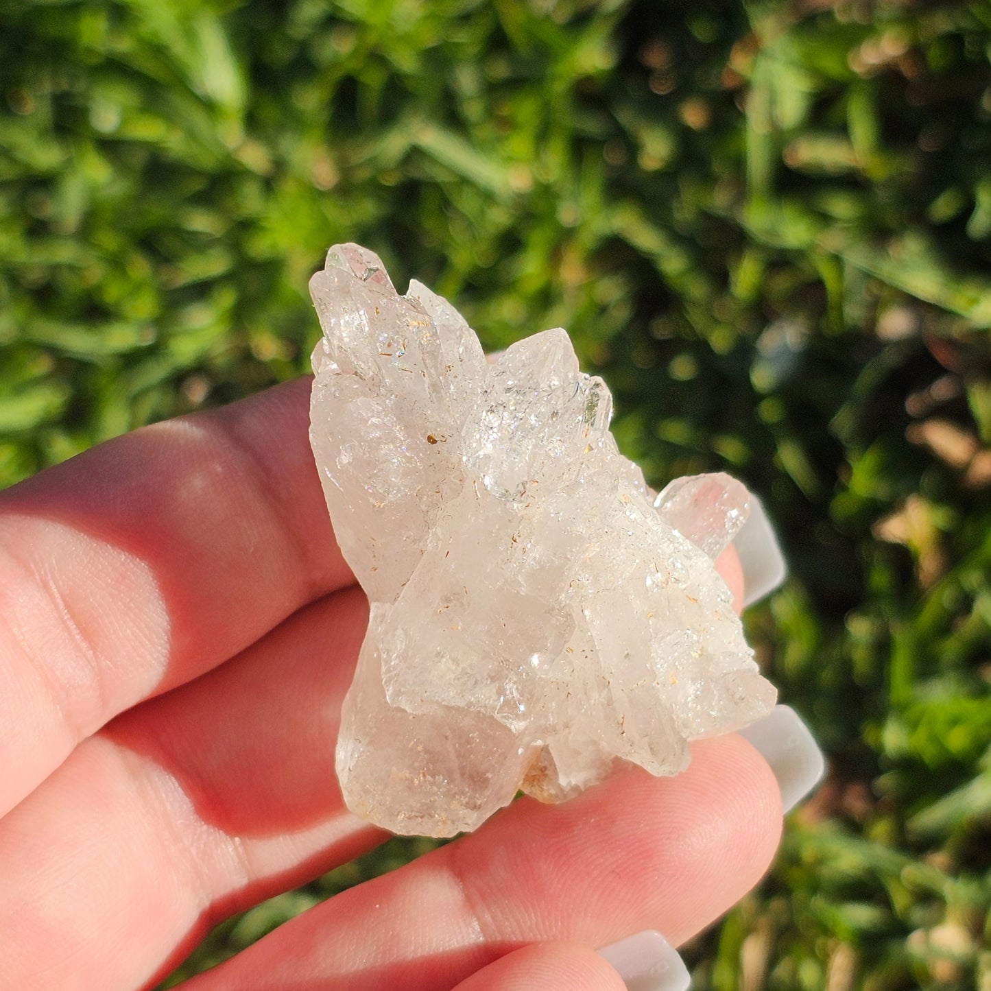 Clear Quartz Cluster (H)