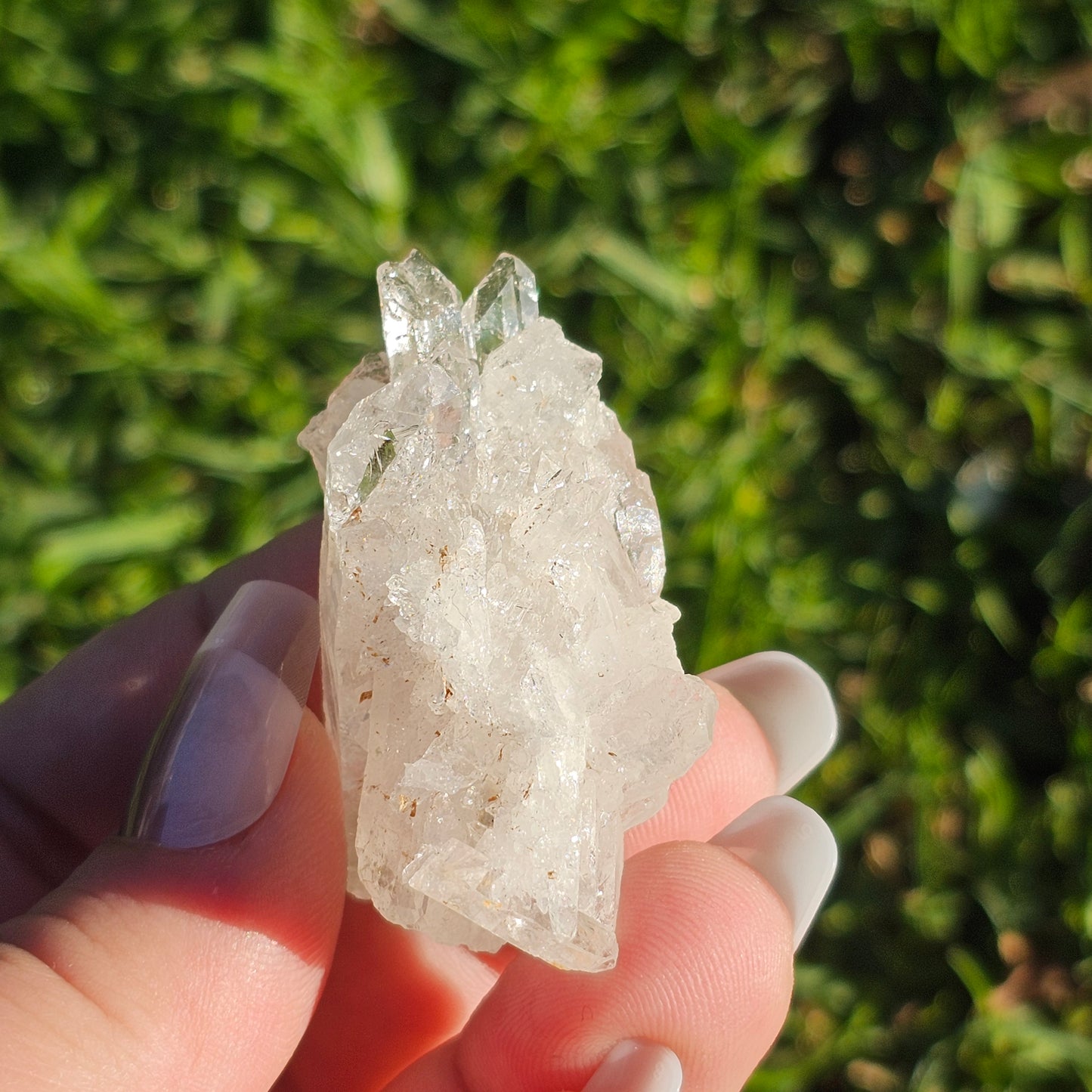 Clear Quartz Cluster (H)