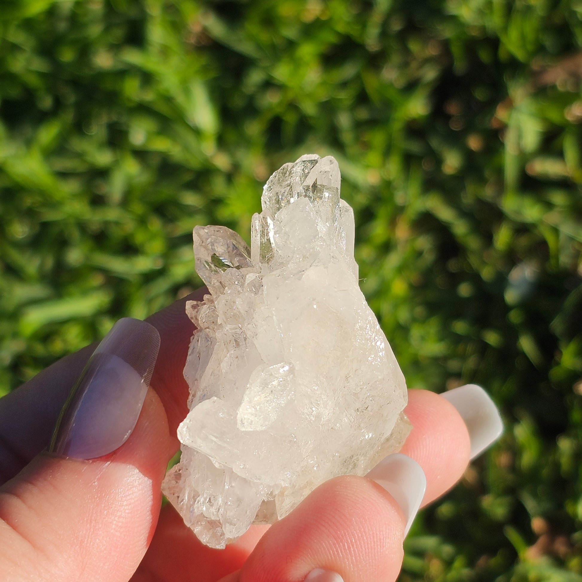 Clear Quartz Cluster (H)