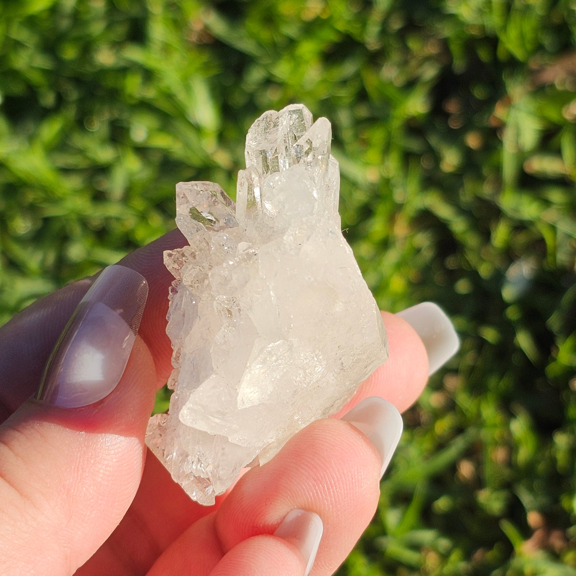 Clear Quartz Cluster (H)