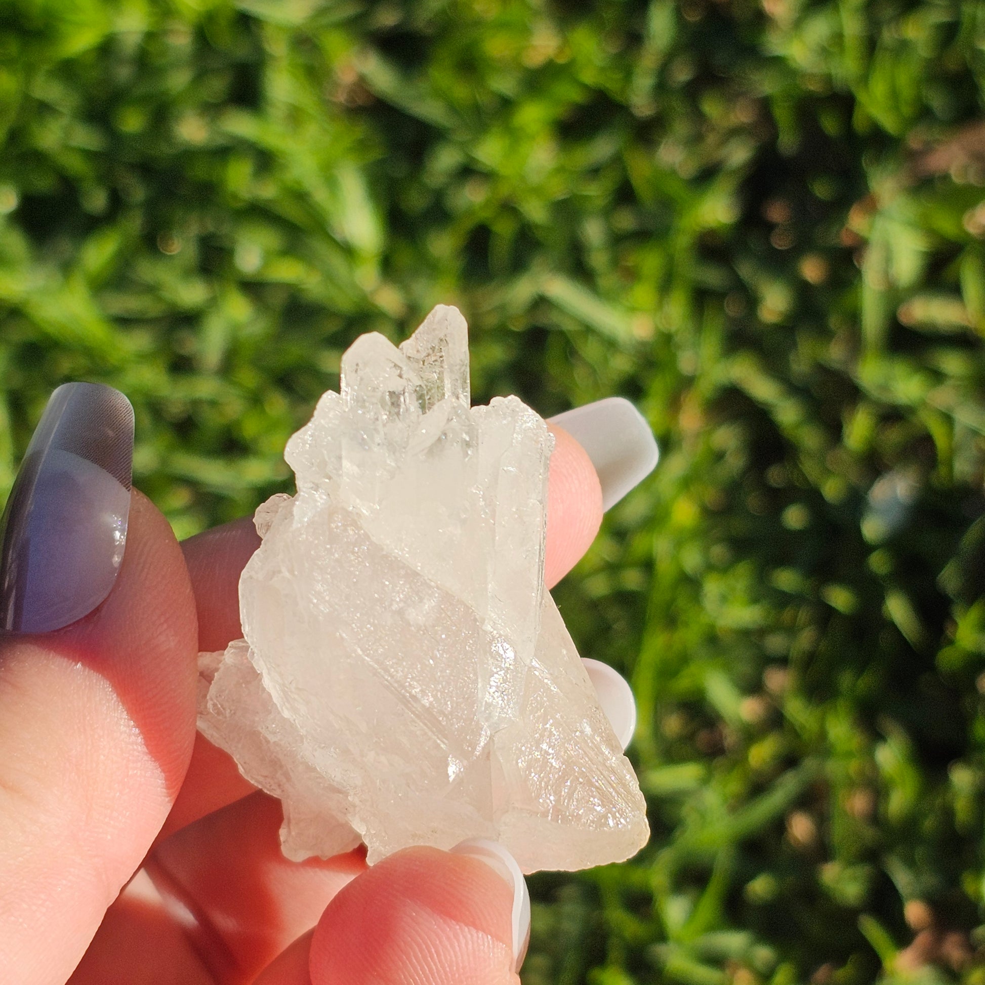 Clear Quartz Cluster (H)