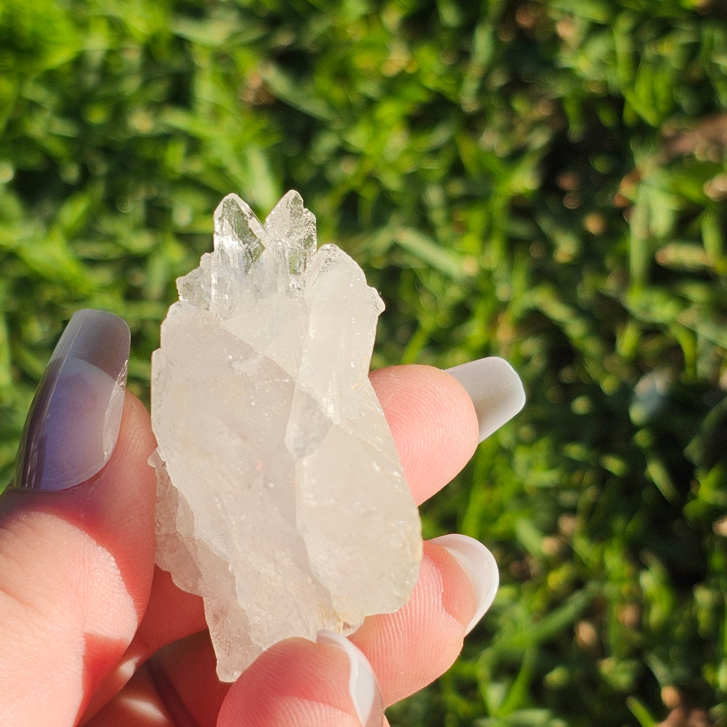 Clear Quartz Cluster (H)