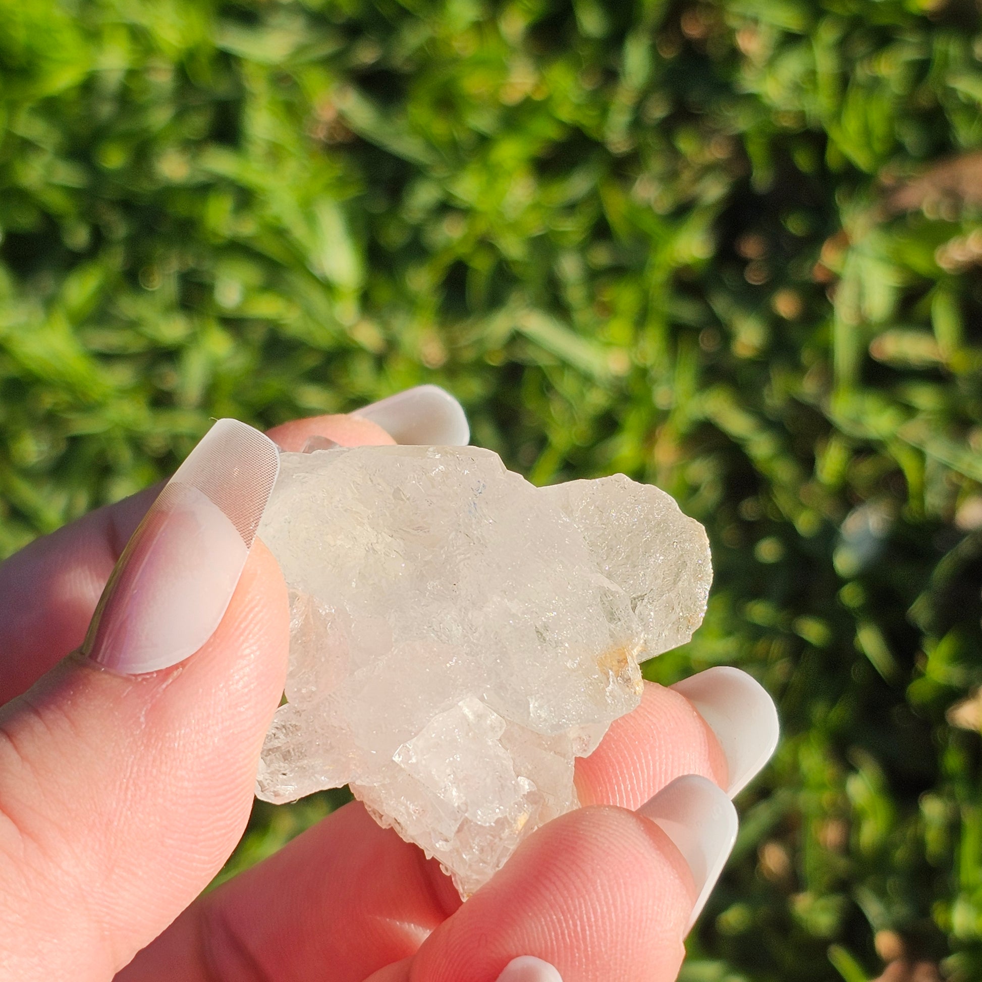 Clear Quartz Cluster (H)