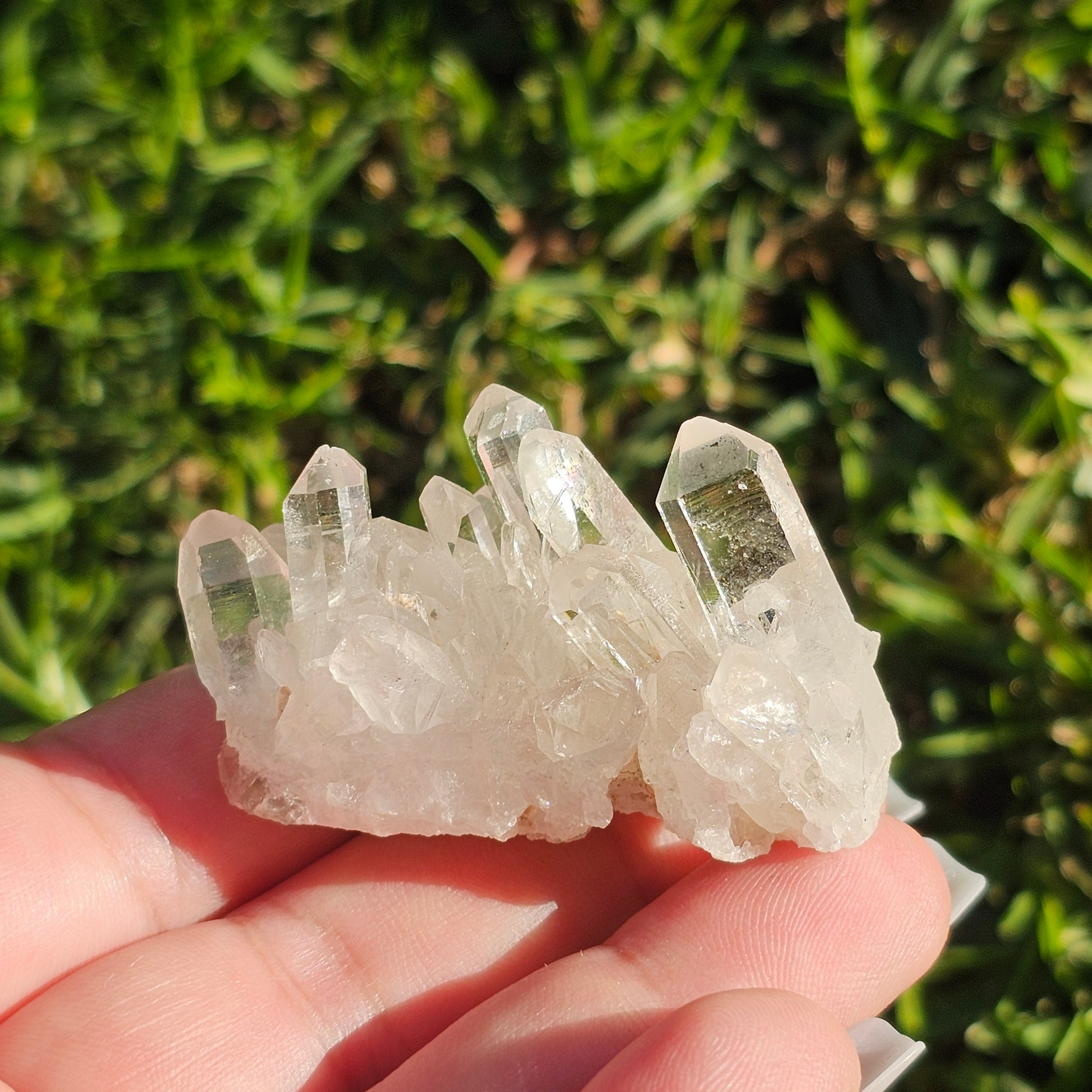 Clear Quartz Cluster (C)