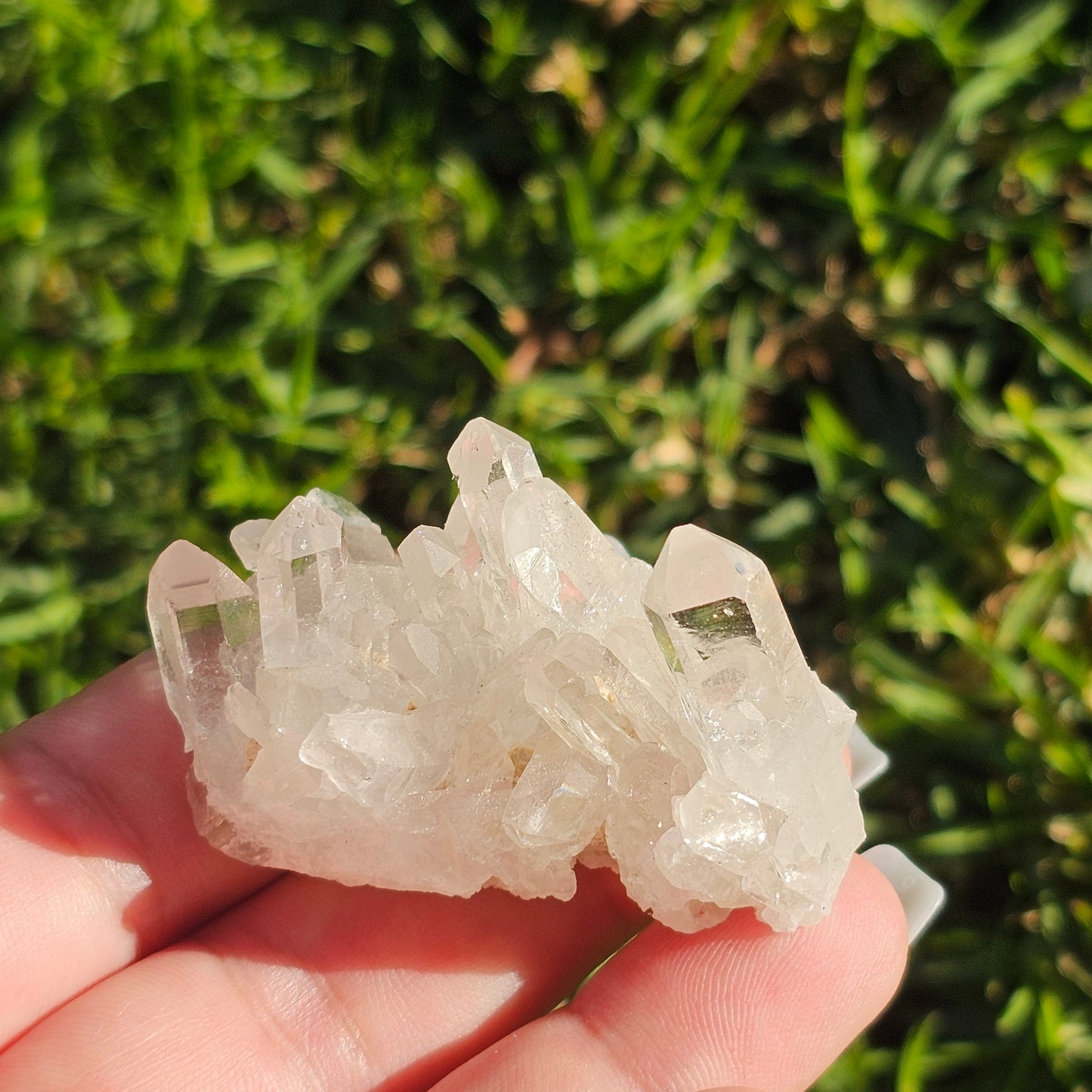 Clear Quartz Cluster (C)