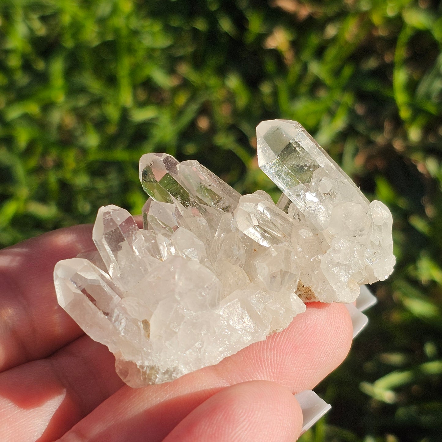 Clear Quartz Cluster (C)