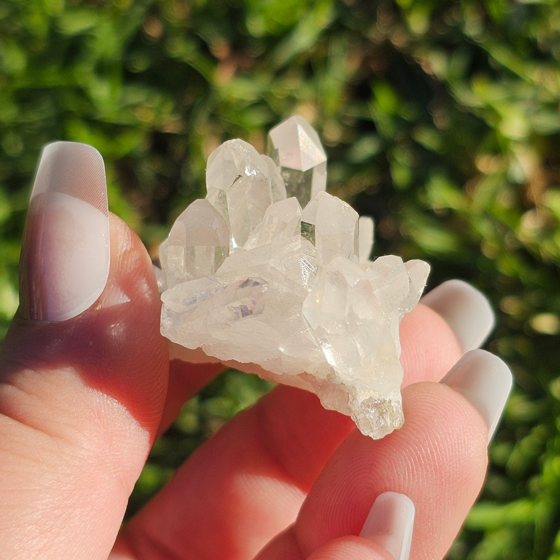 Clear Quartz Cluster (C)