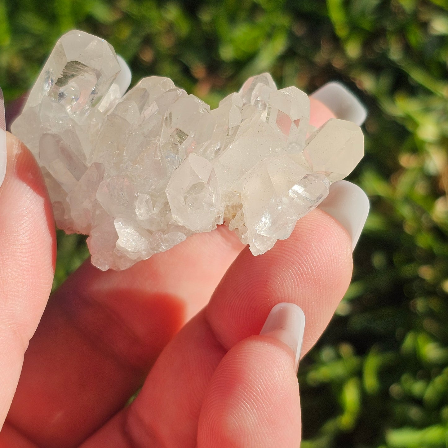 Clear Quartz Cluster (C)