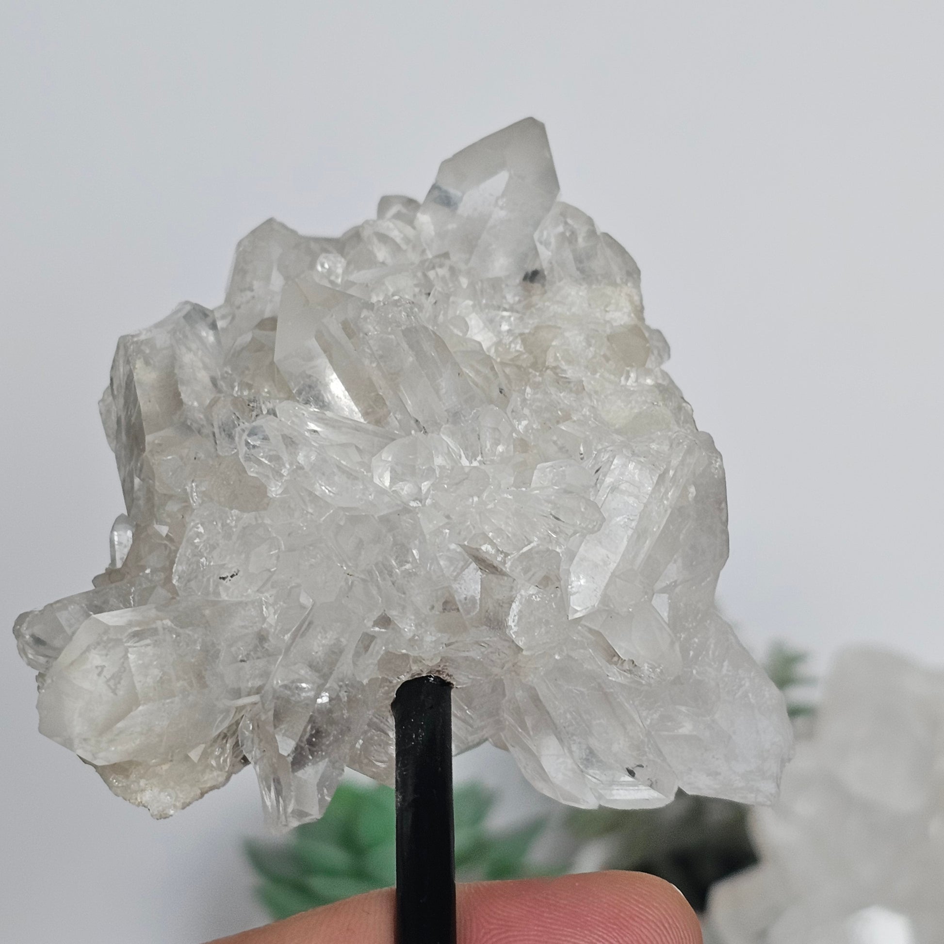 Clear Quartz clusters on black metal stands