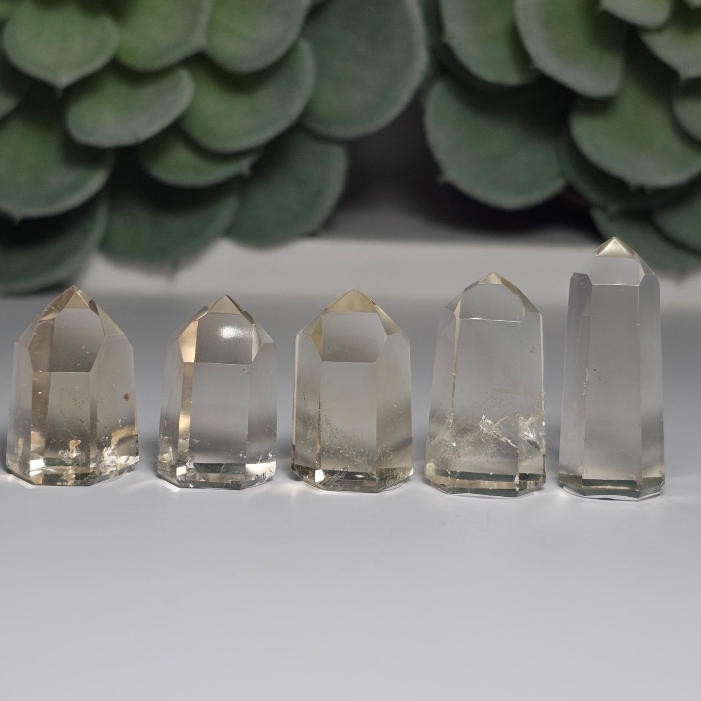 Natural Champagne Citrine Mini Towers | AAA+ Quality | C76 - C710