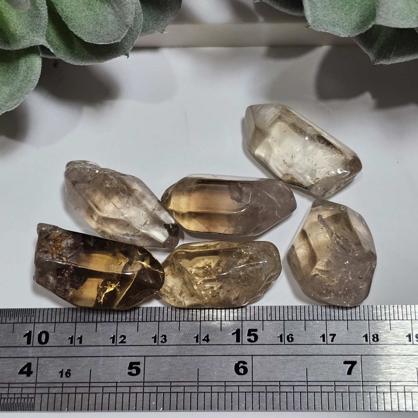 Natural Citrine Tumble | Medium