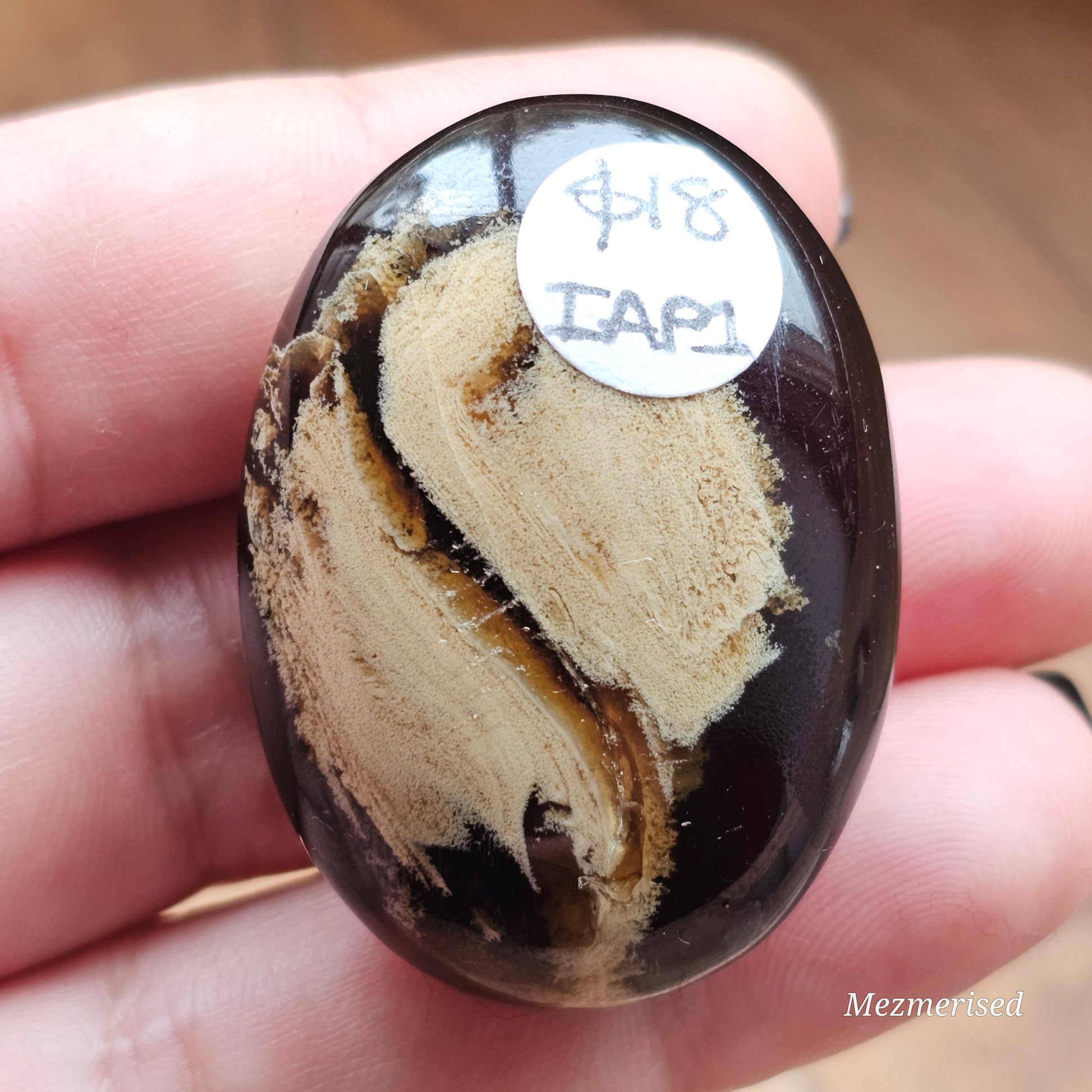 Amber & Petrified Wood Palm Stone with Blue UV Reaction | Sumatra - Indonesia (#1)