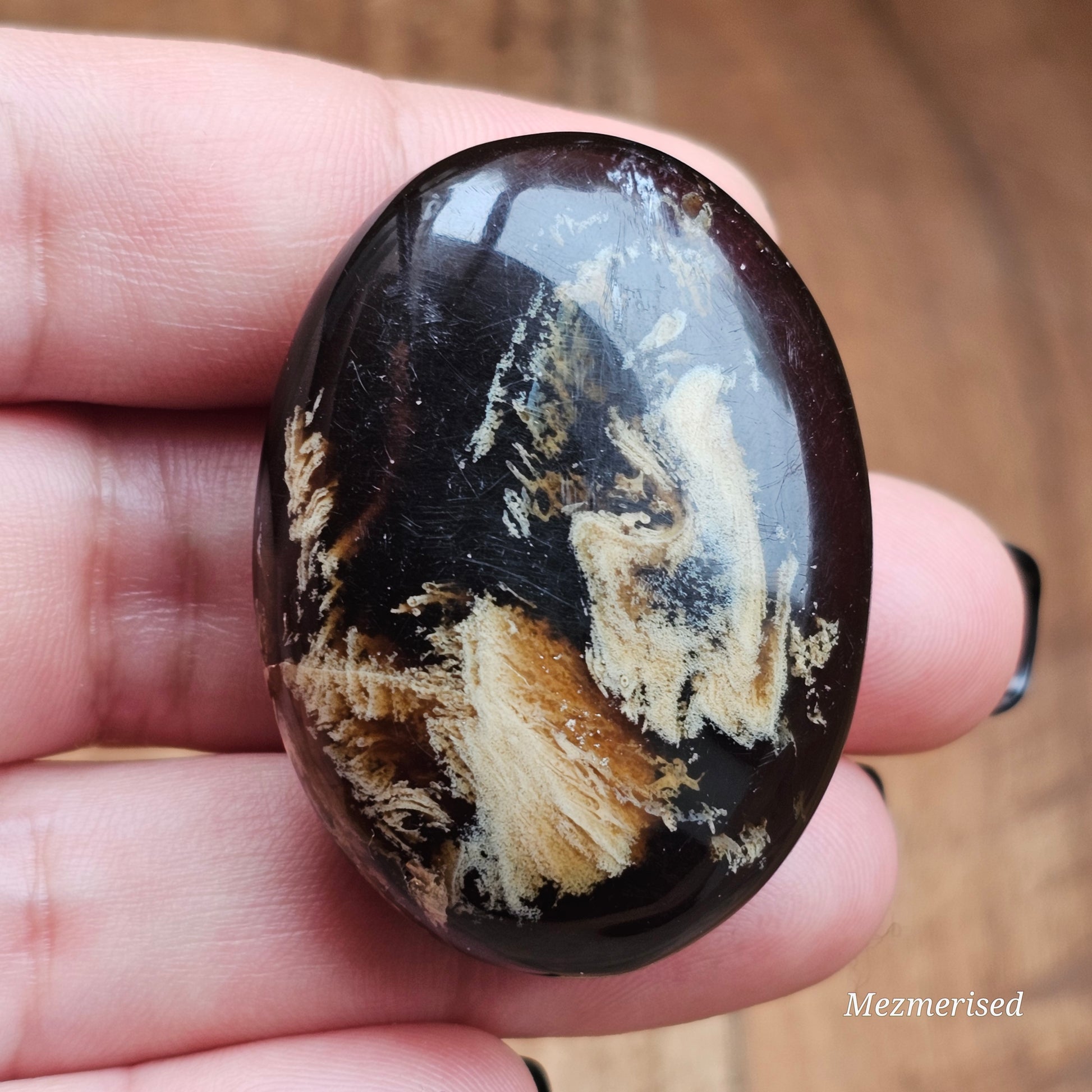 Amber & Petrified Wood Palm Stone with Blue UV Reaction | Sumatra - Indonesia (#3)