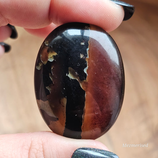 Amber & Petrified Wood Palm Stone with Blue UV Reaction | Sumatra - Indonesia (#5)