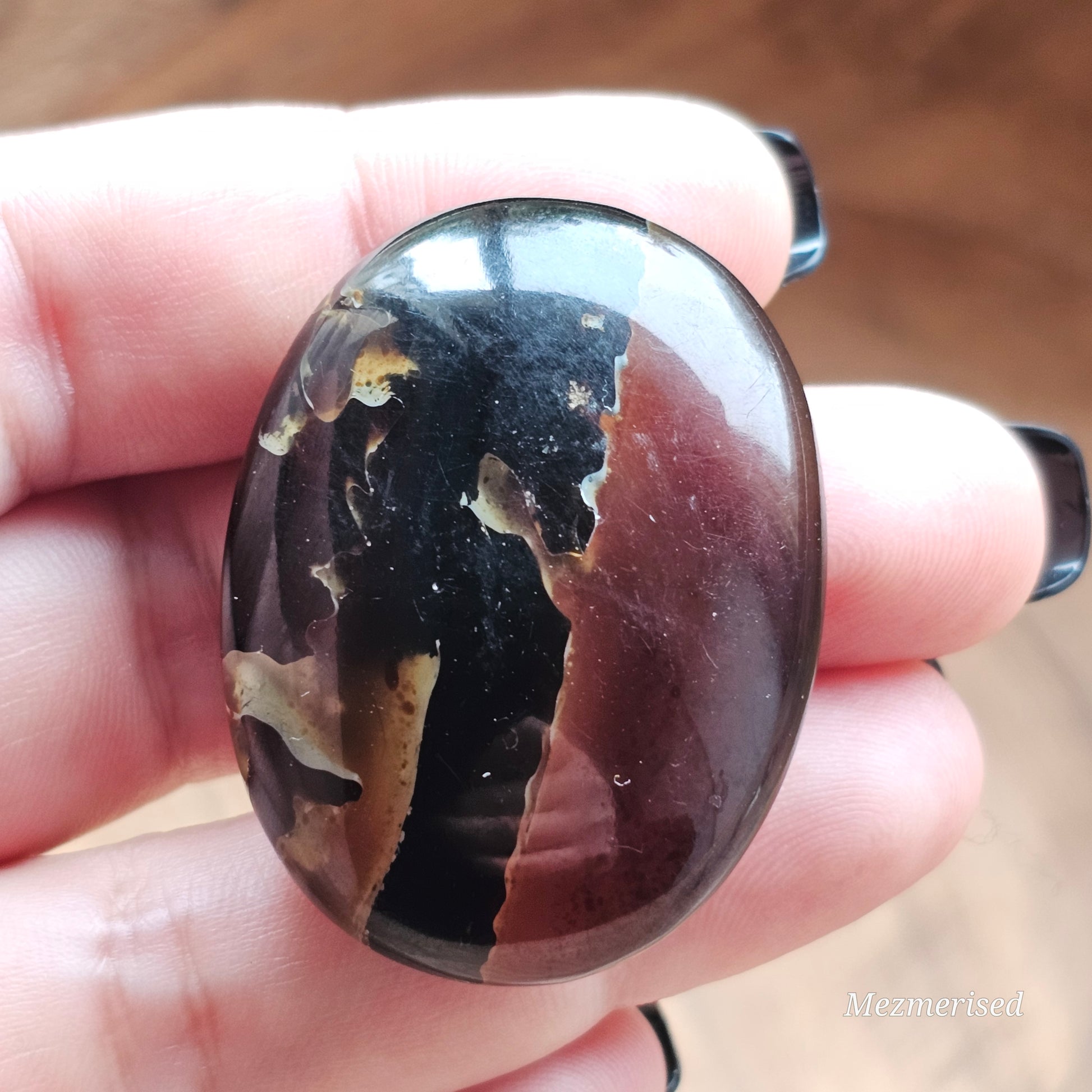 Amber & Petrified Wood Palm Stone with Blue UV Reaction | Sumatra - Indonesia (#5)