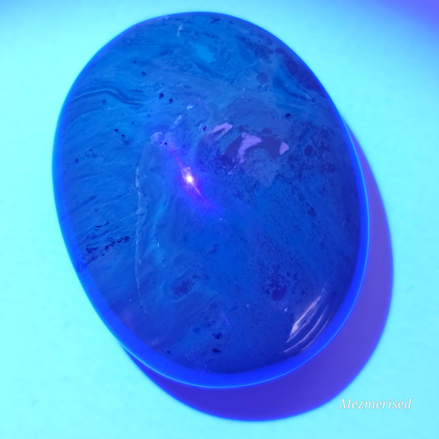 Amber & Petrified Wood Palm Stone with Blue UV Reaction | Sumatra - Indonesia (#8)