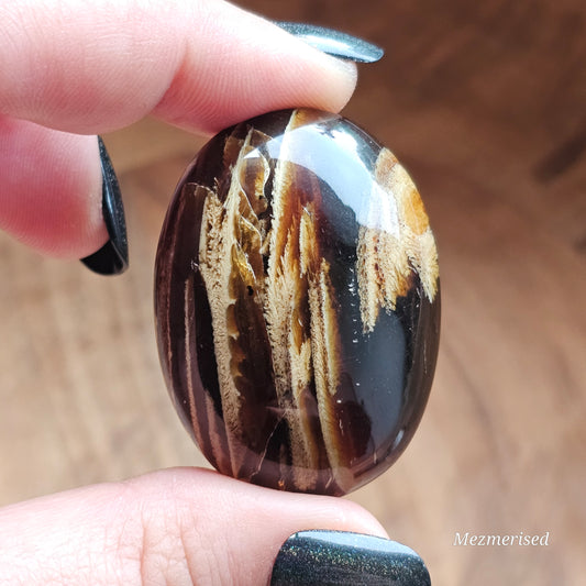 Amber & Petrified Wood Palm Stone with Blue UV Reaction | Sumatra - Indonesia (#13)