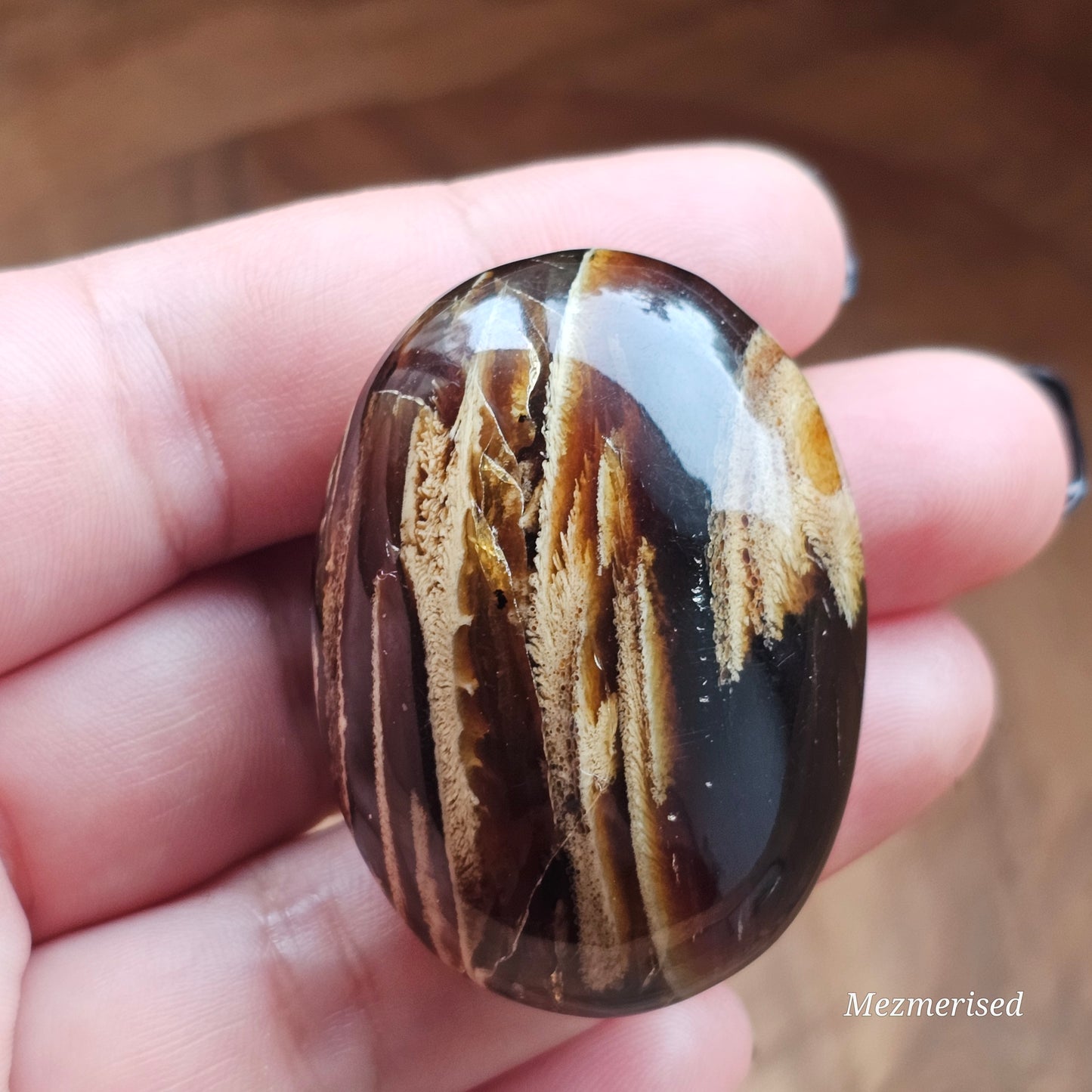 Amber & Petrified Wood Palm Stone with Blue UV Reaction | Sumatra - Indonesia (#13)