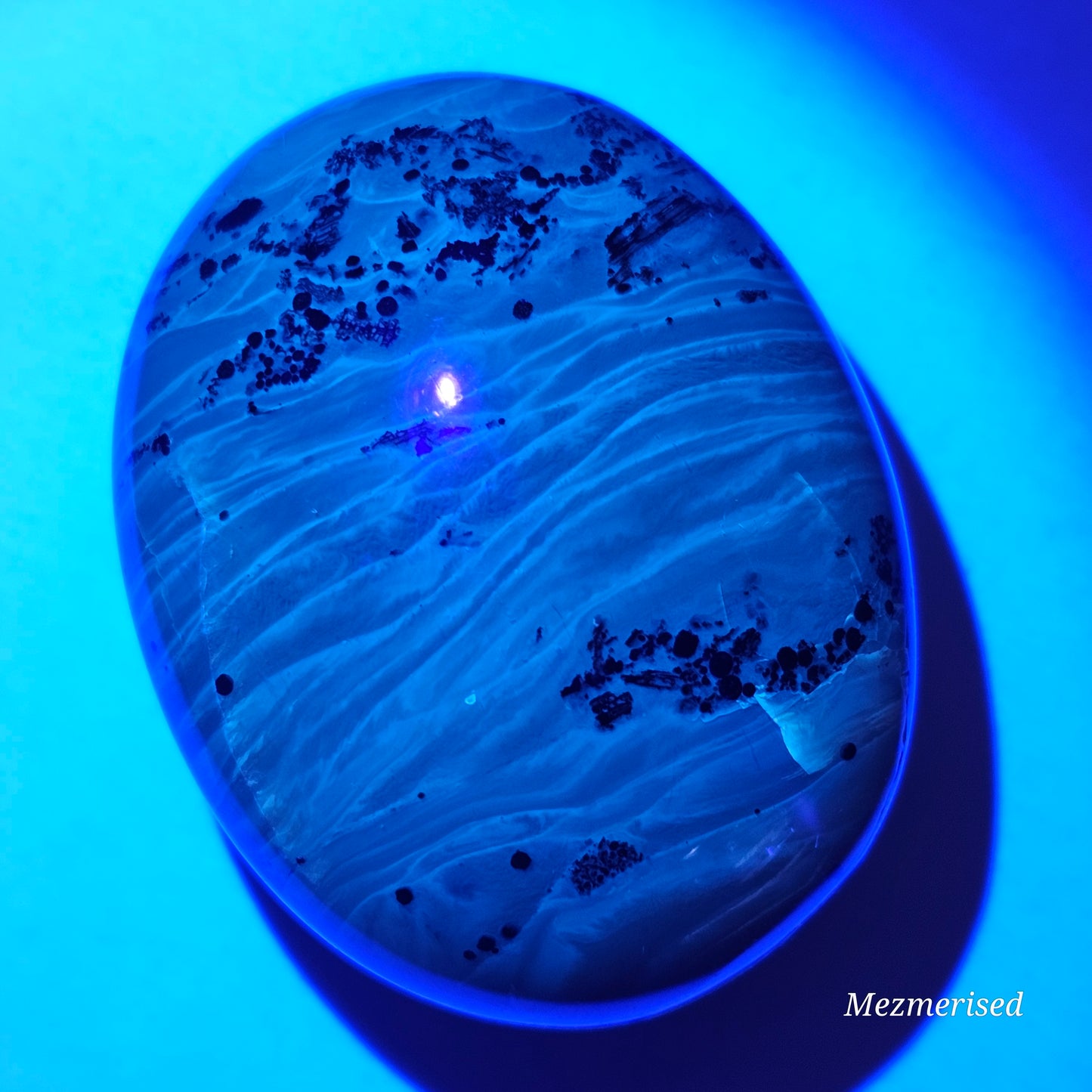 Amber & Petrified Wood Palm Stone with Blue UV Reaction | Sumatra - Indonesia (#18)