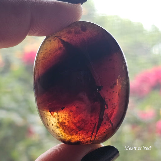 Amber & Petrified Wood Palm Stone with Blue UV Reaction | Sumatra - Indonesia (#19)