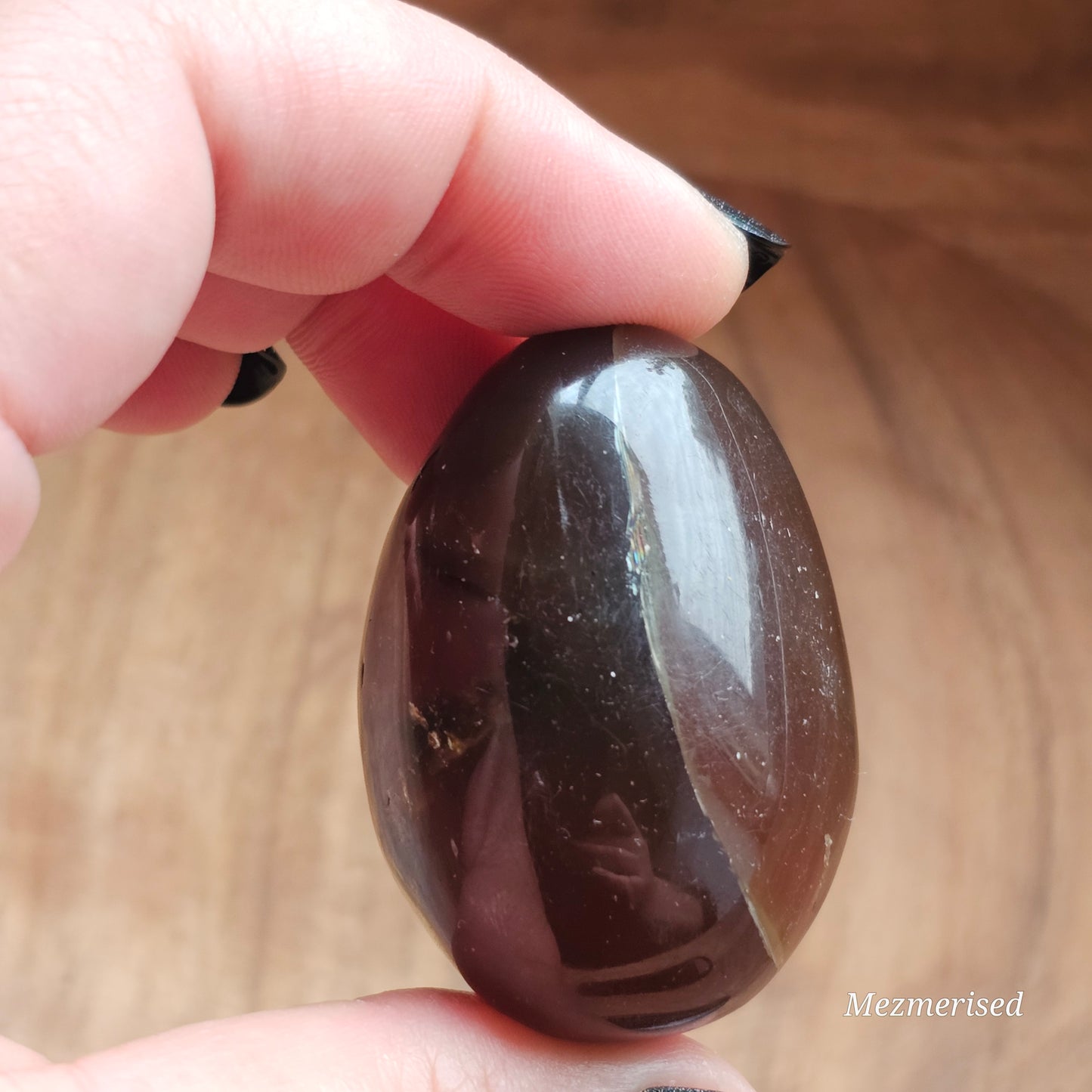 Amber & Petrified Wood Palm Stone with Blue UV Reaction | Sumatra - Indonesia (#27)