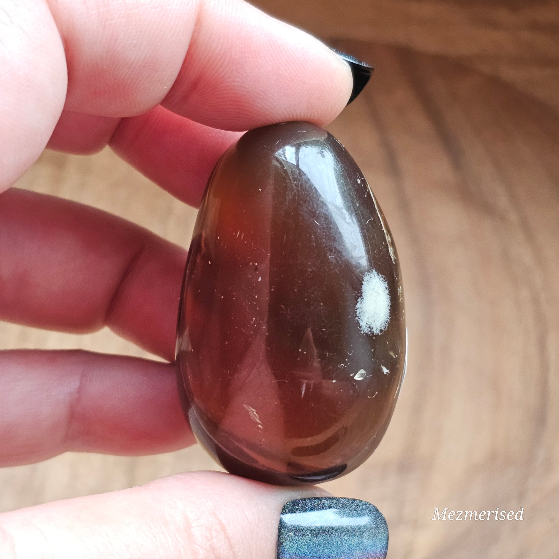 Amber & Petrified Wood Palm Stone with Blue UV Reaction | Sumatra - Indonesia (#27)