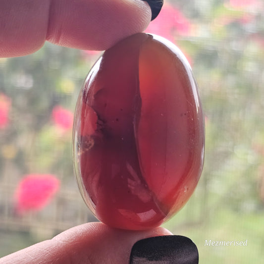 Amber & Petrified Wood Palm Stone with Blue UV Reaction | Sumatra - Indonesia (#27)