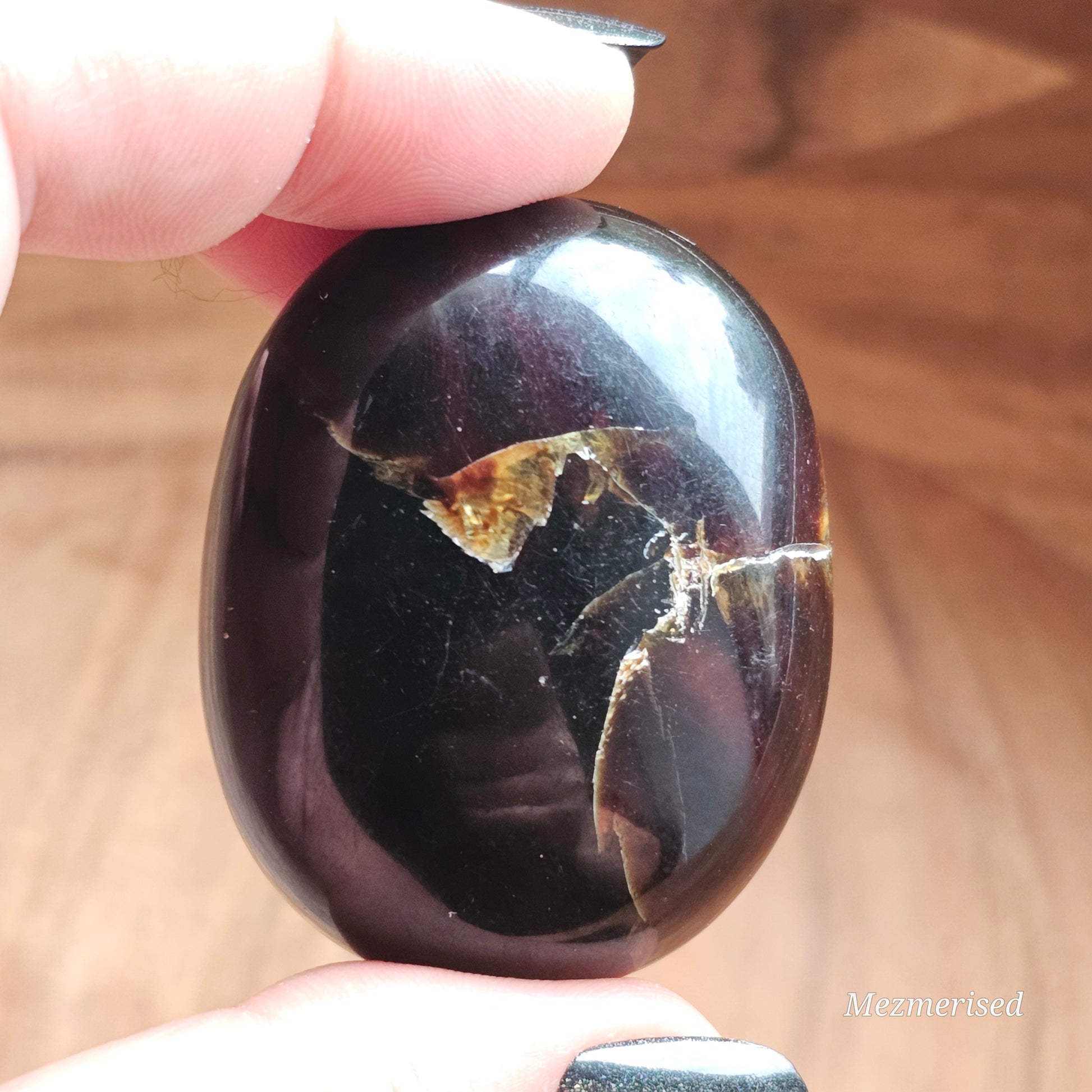 Amber & Petrified Wood Palm Stone with Blue UV Reaction | Sumatra - Indonesia (#28)