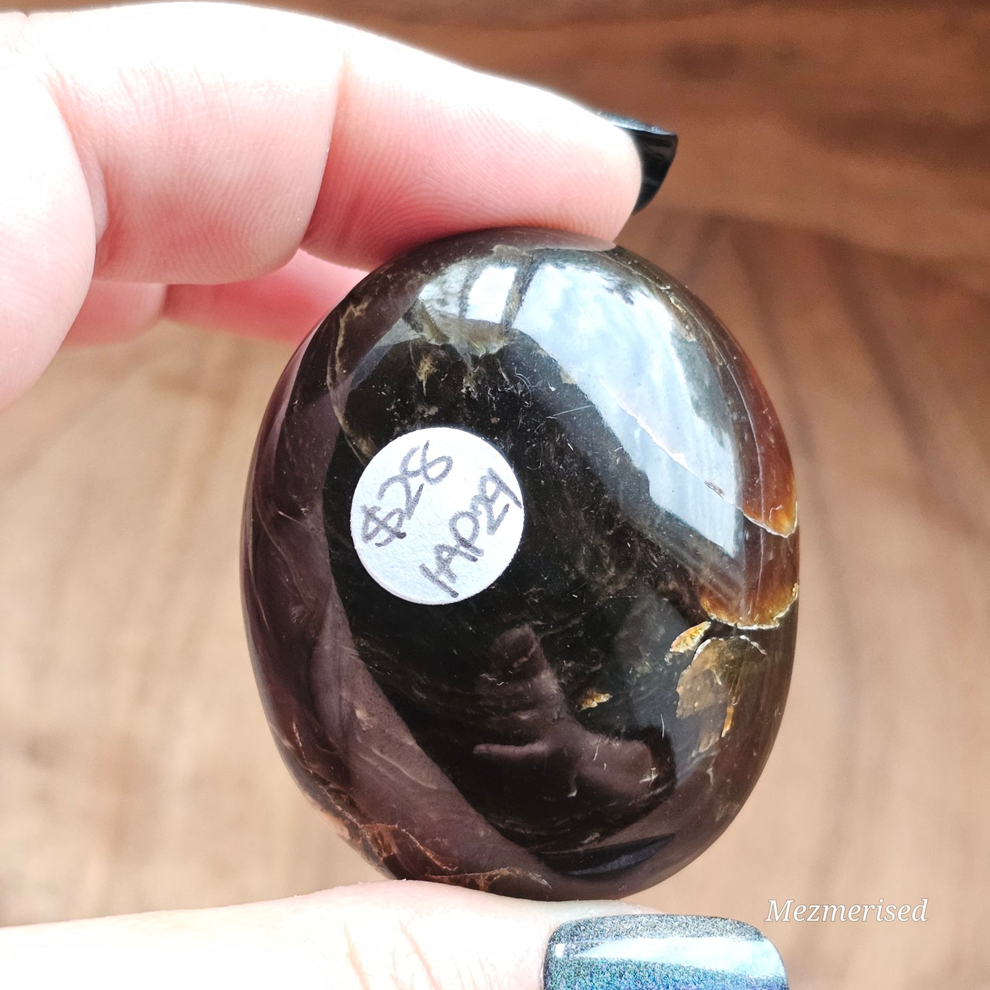 Amber & Petrified Wood Palm Stone with Blue UV Reaction | Sumatra - Indonesia (#29)