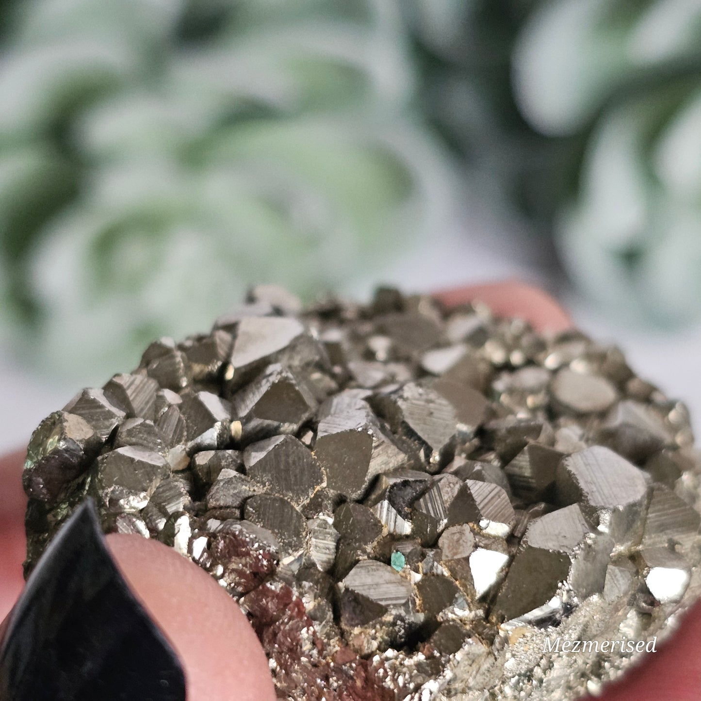 High quality Pyrite cluster.