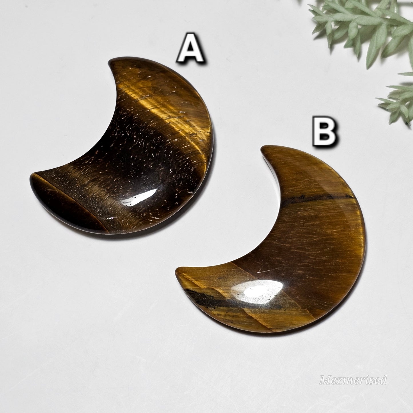Tiger's Eye Crescent Moon Carvings