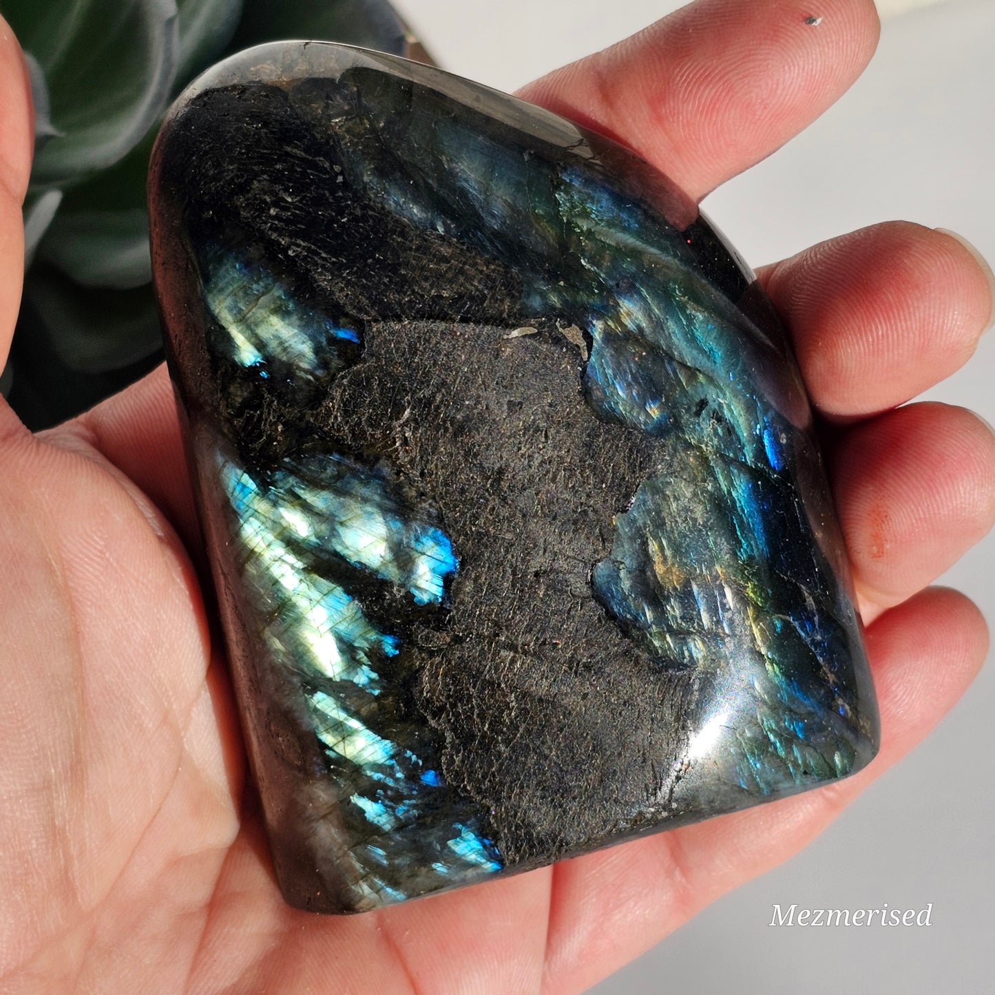 Labradorite Freeform | E