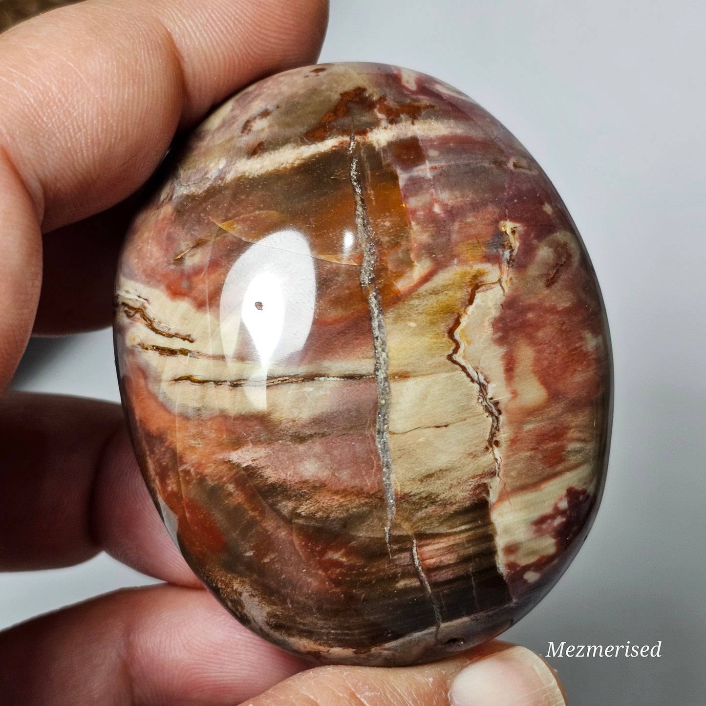 Petrified Wood Palm Stone | A