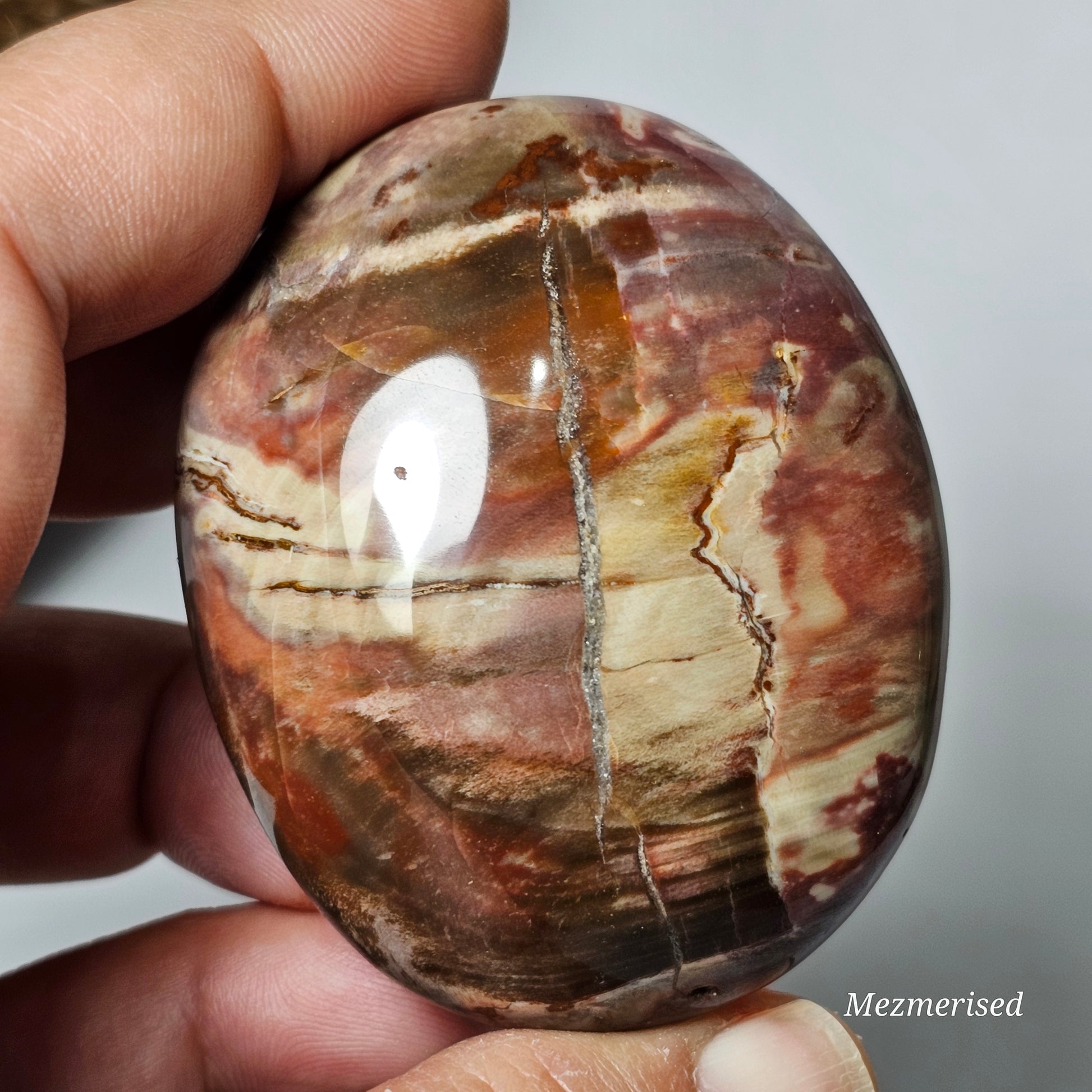 Petrified Wood Palm Stone | A