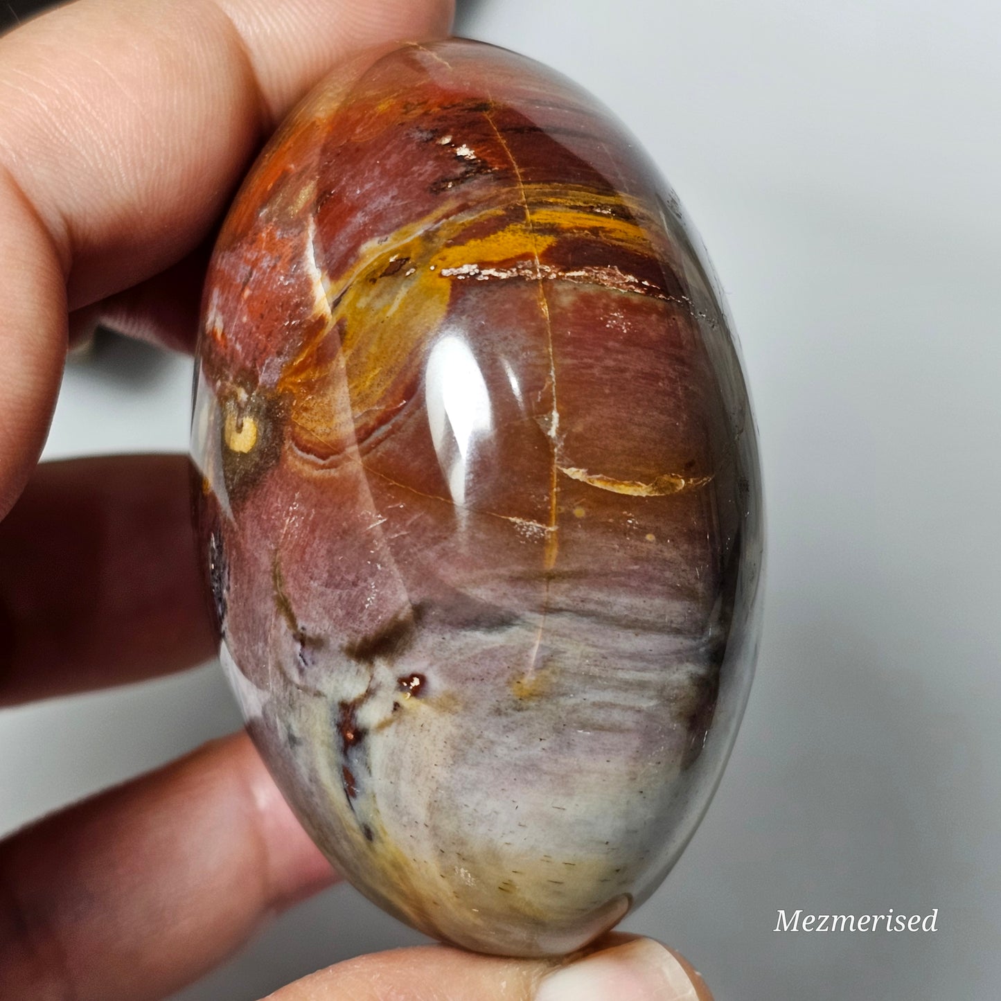 Petrified Wood Palm Stone | B