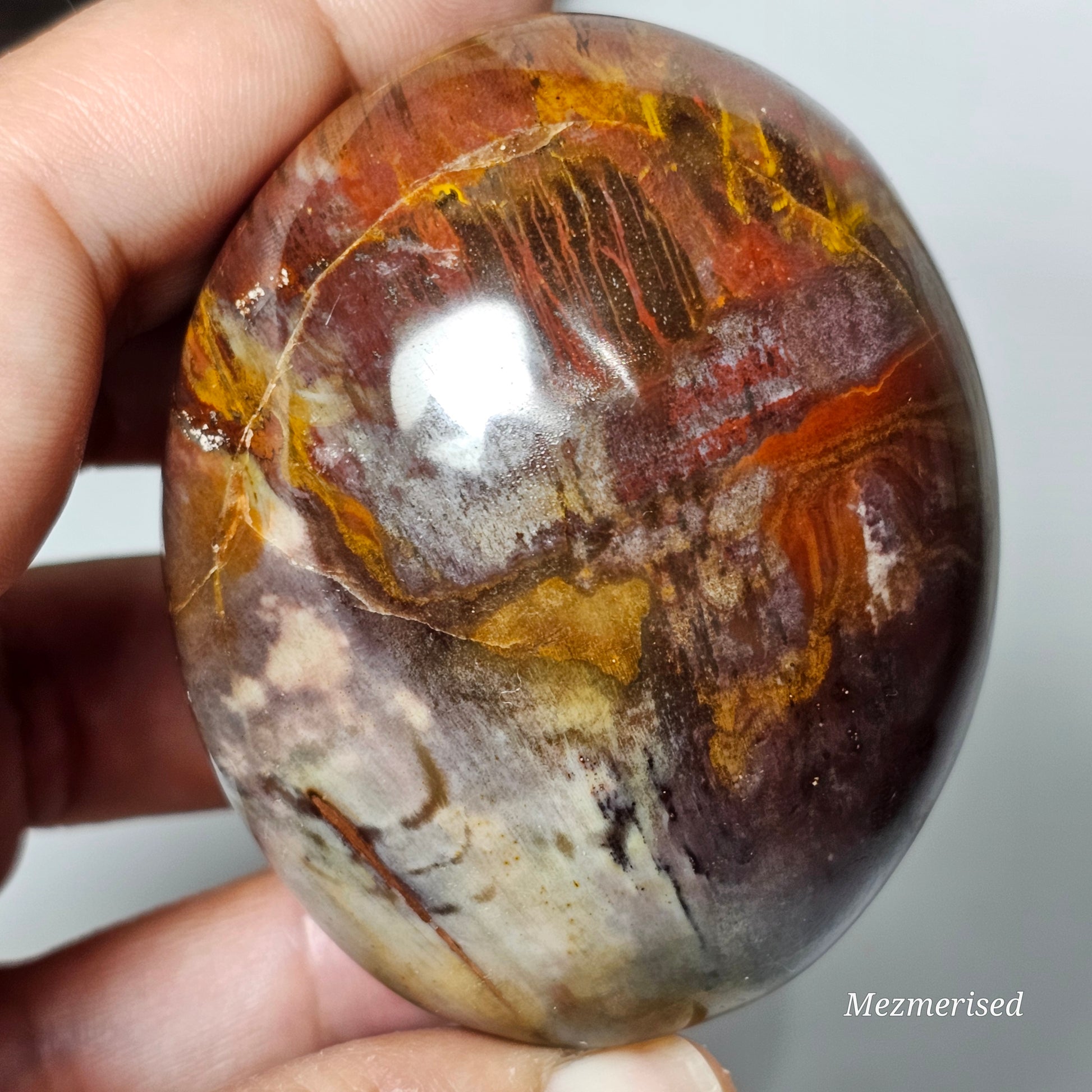 Petrified Wood Palm Stone | B