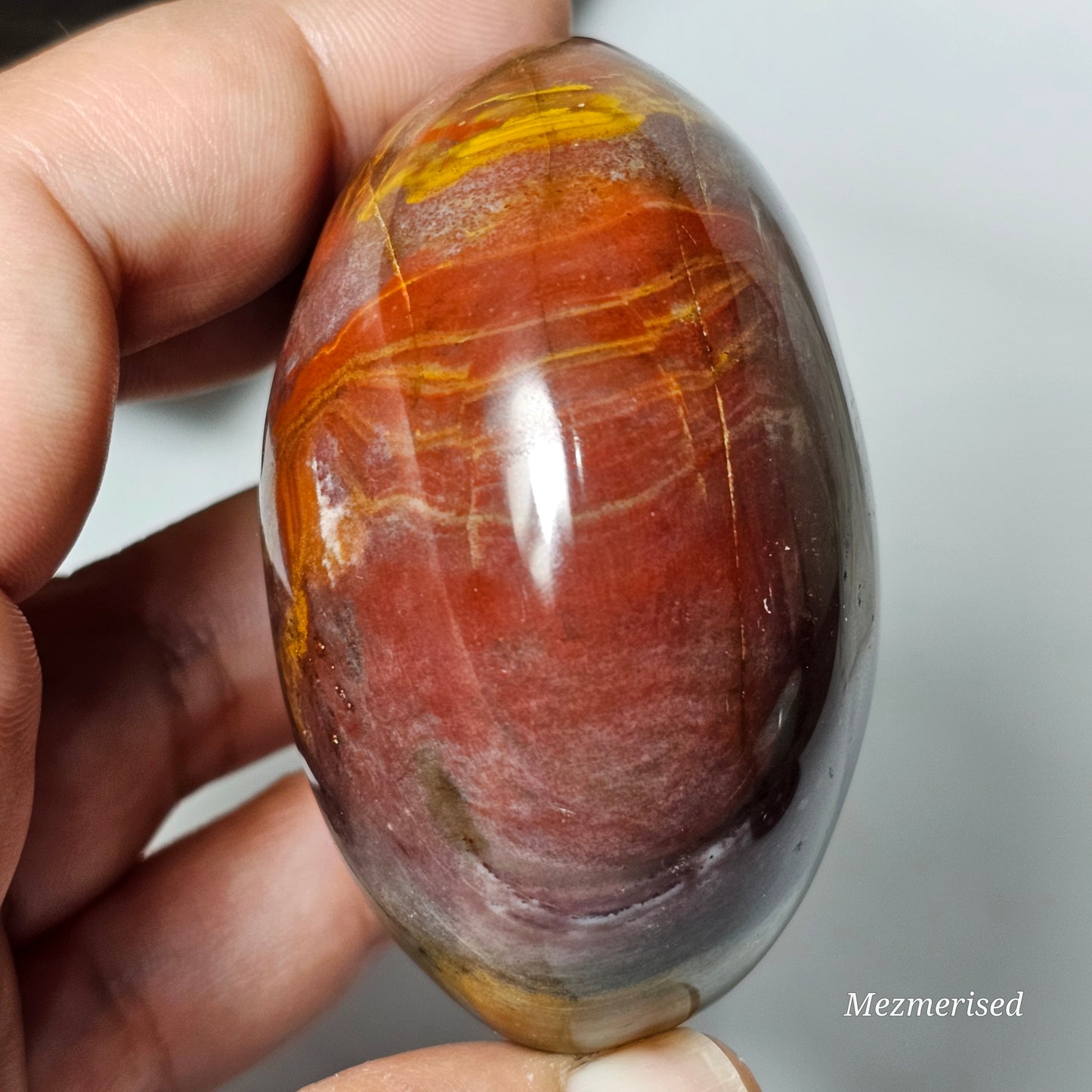 Petrified Wood Palm Stone | B