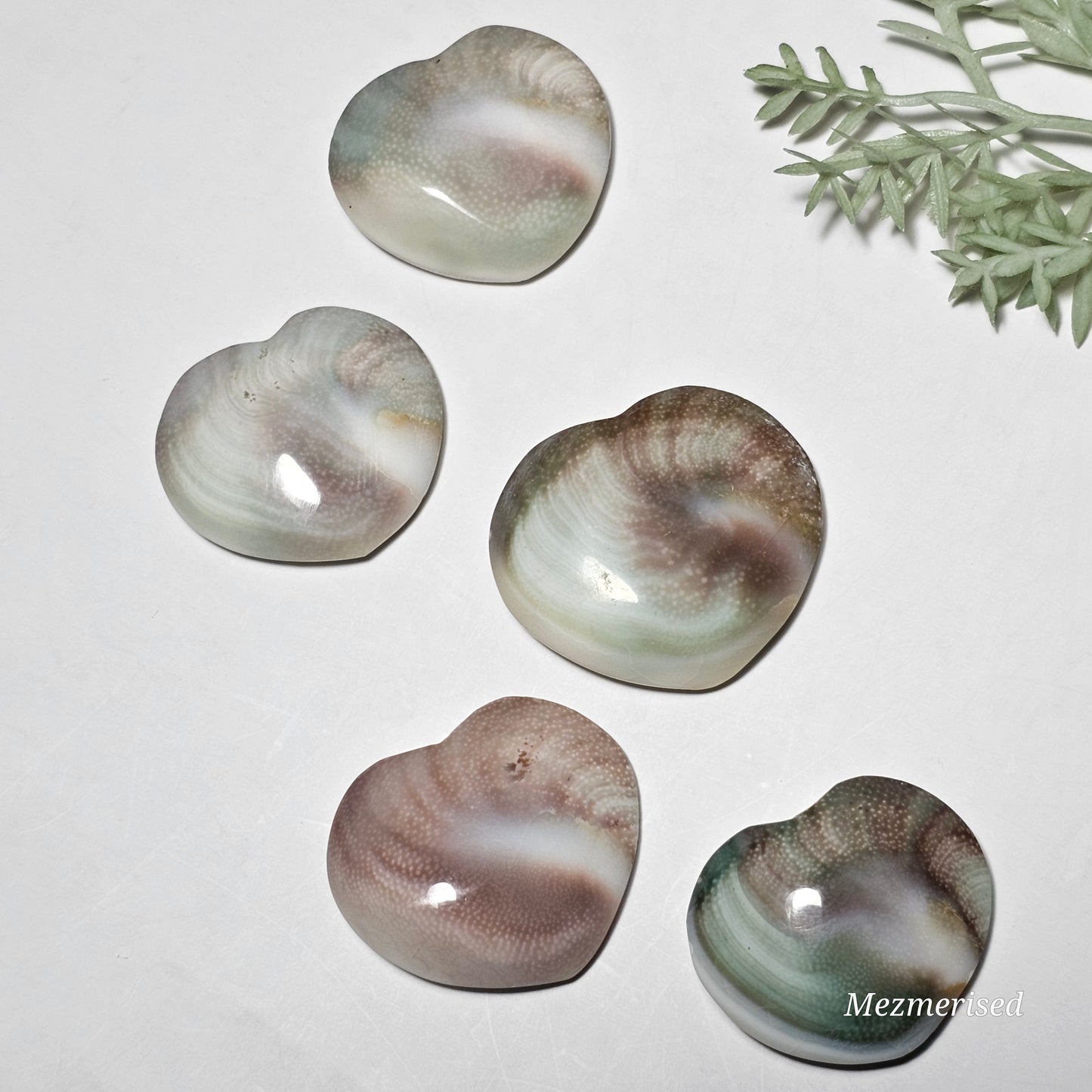 Shiva Eye Shell Hearts