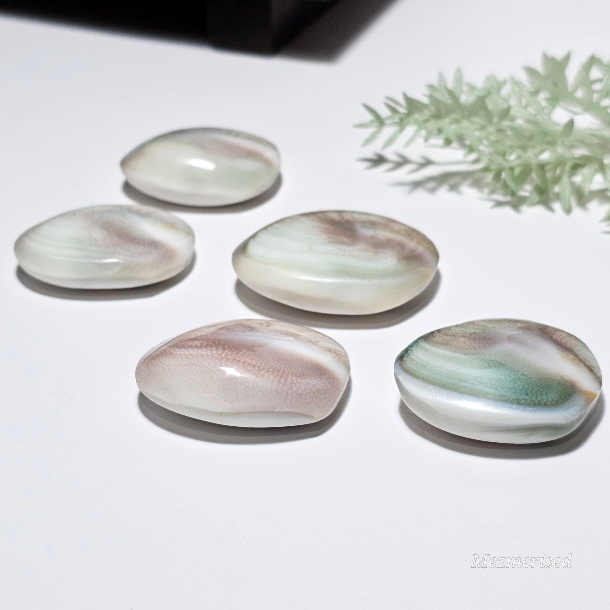 Shiva Eye Shell Hearts