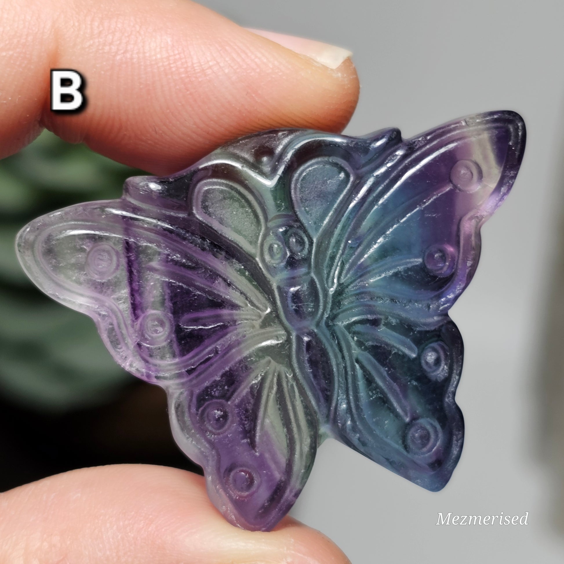 Rainbow Fluorite Butterfly Carvings