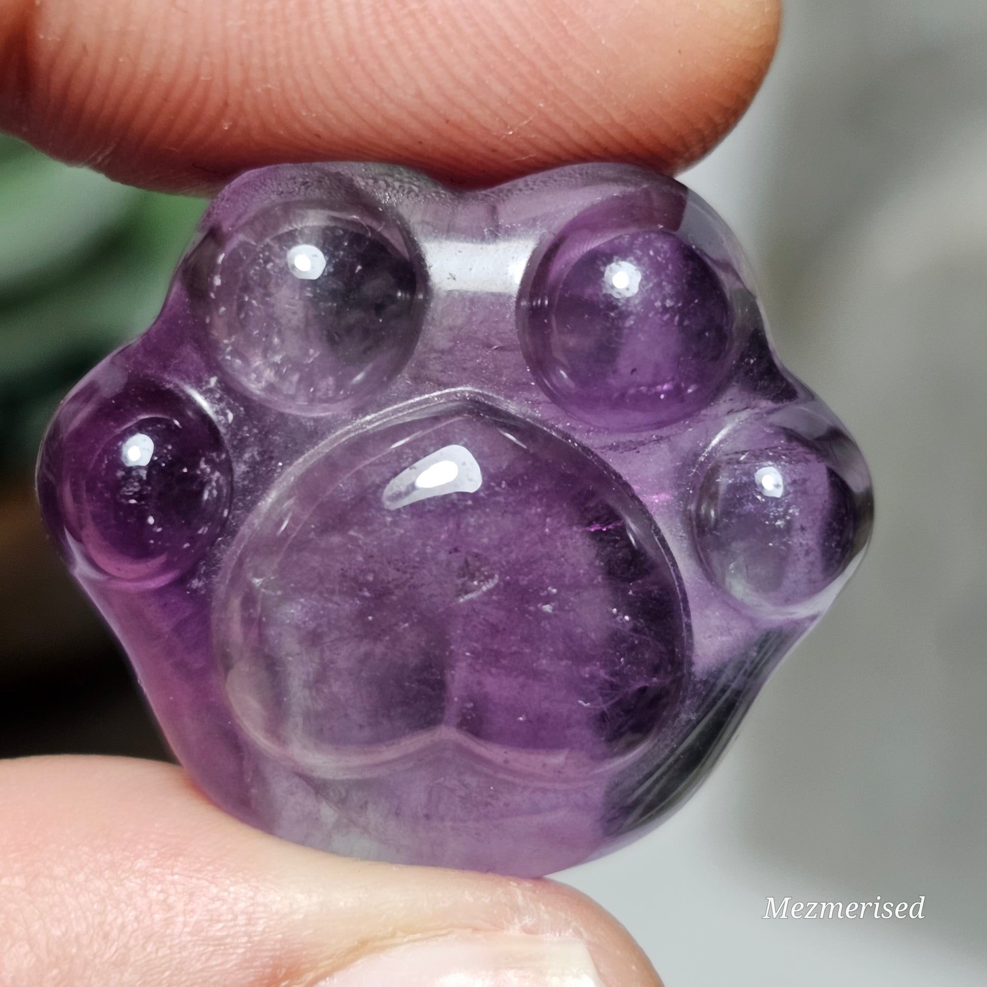 Rainbow Fluorite Paw Carvings