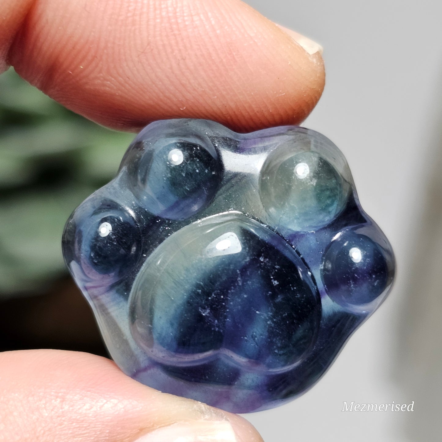 Rainbow Fluorite Paw Carvings