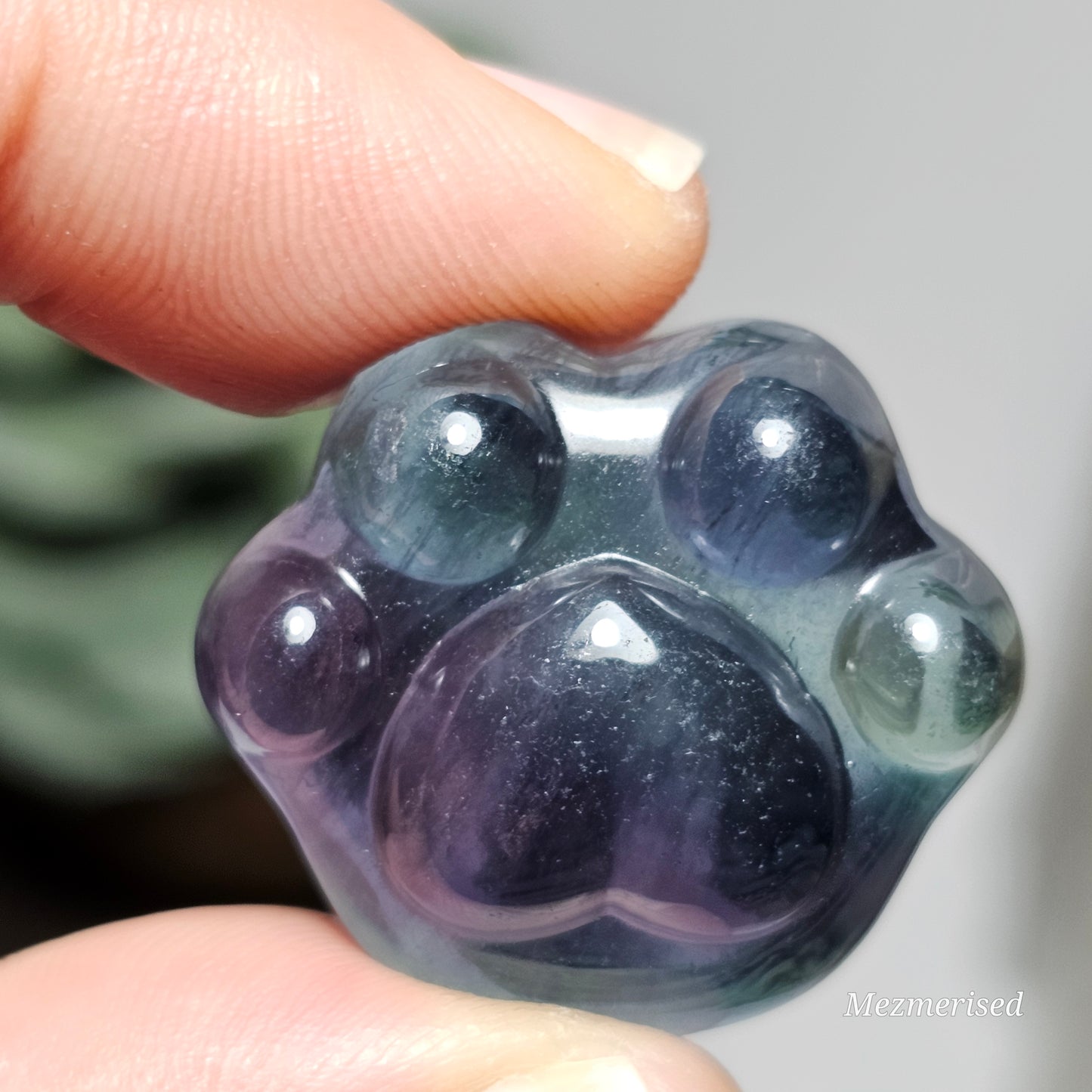 Rainbow Fluorite Paw Carvings