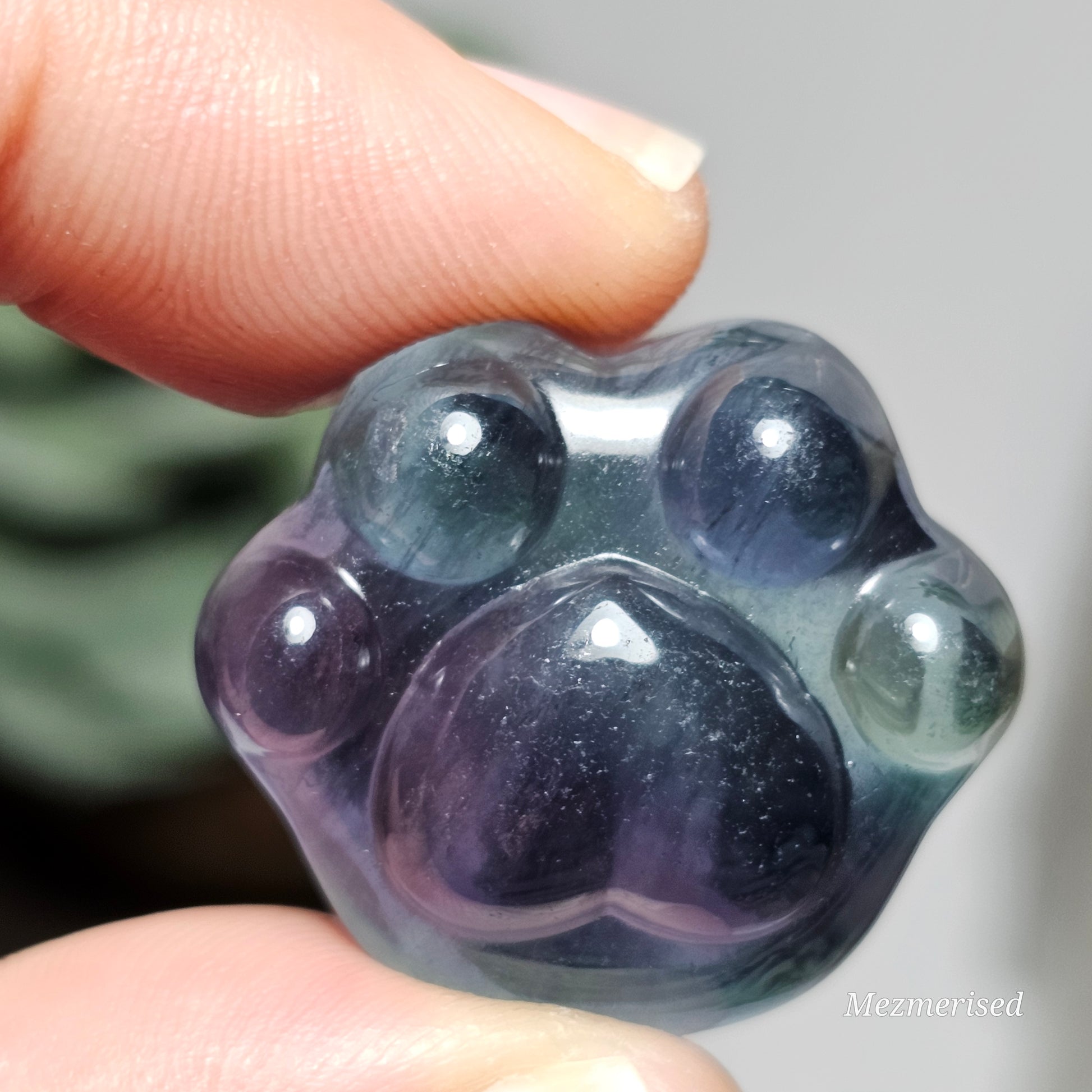 Rainbow Fluorite Paw Carvings