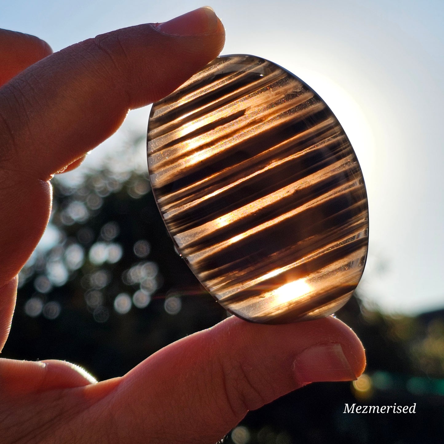 Midnight Lace Obsidian Palm Stone | A