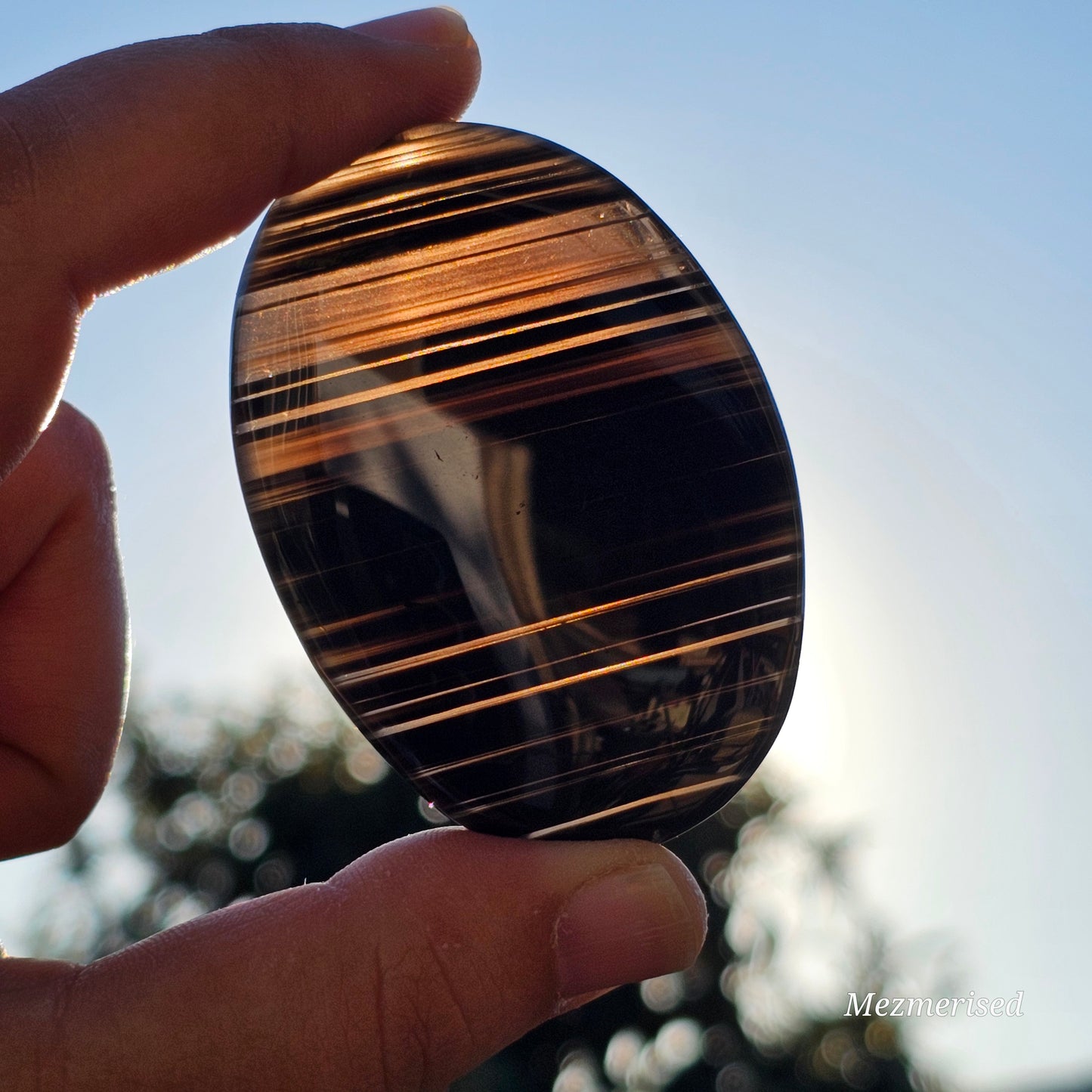 Midnight Lace Obsidian Palm Stone | C