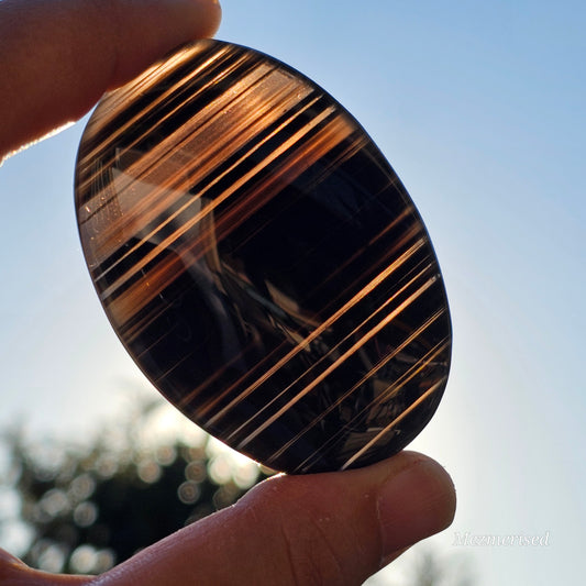 Midnight Lace Obsidian Palm Stone | C