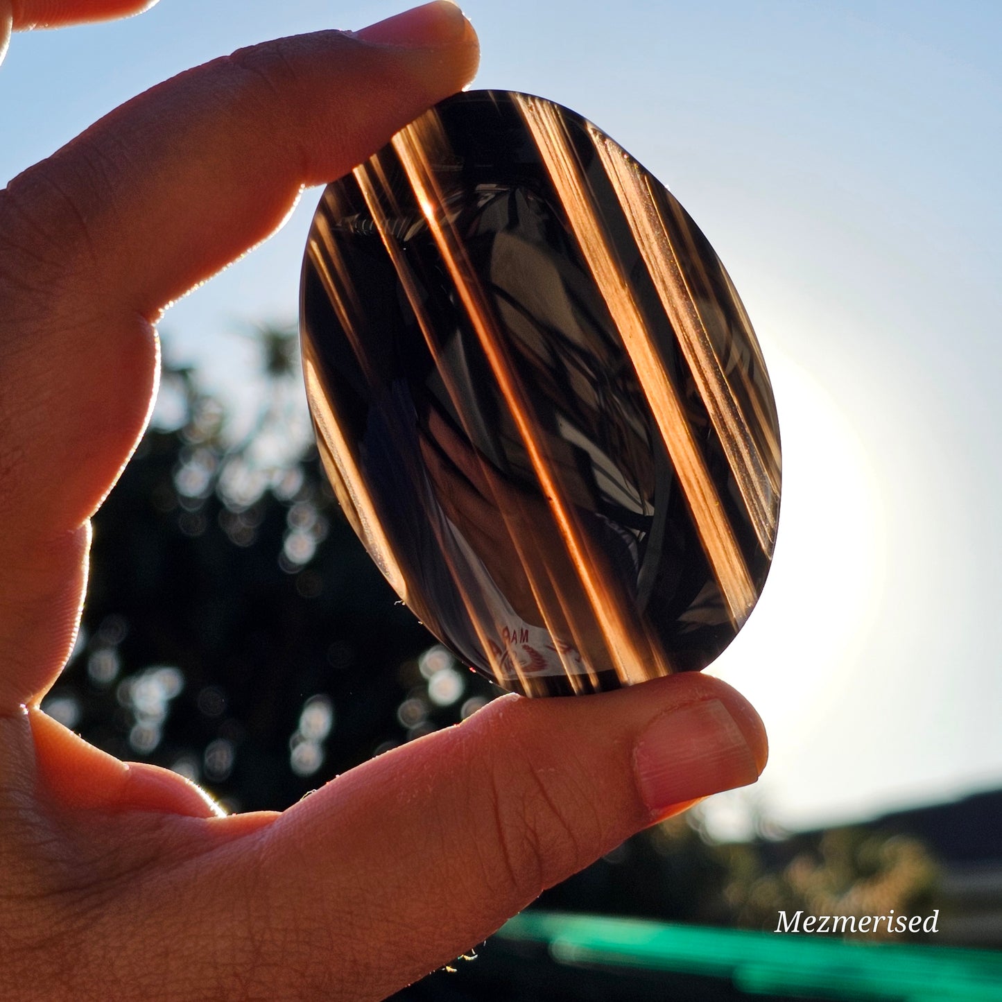 Midnight Lace Obsidian Palm Stone | D