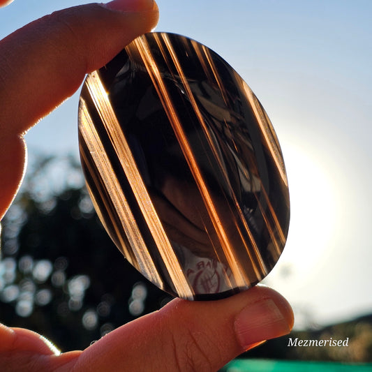 Midnight Lace Obsidian Palm Stone | D